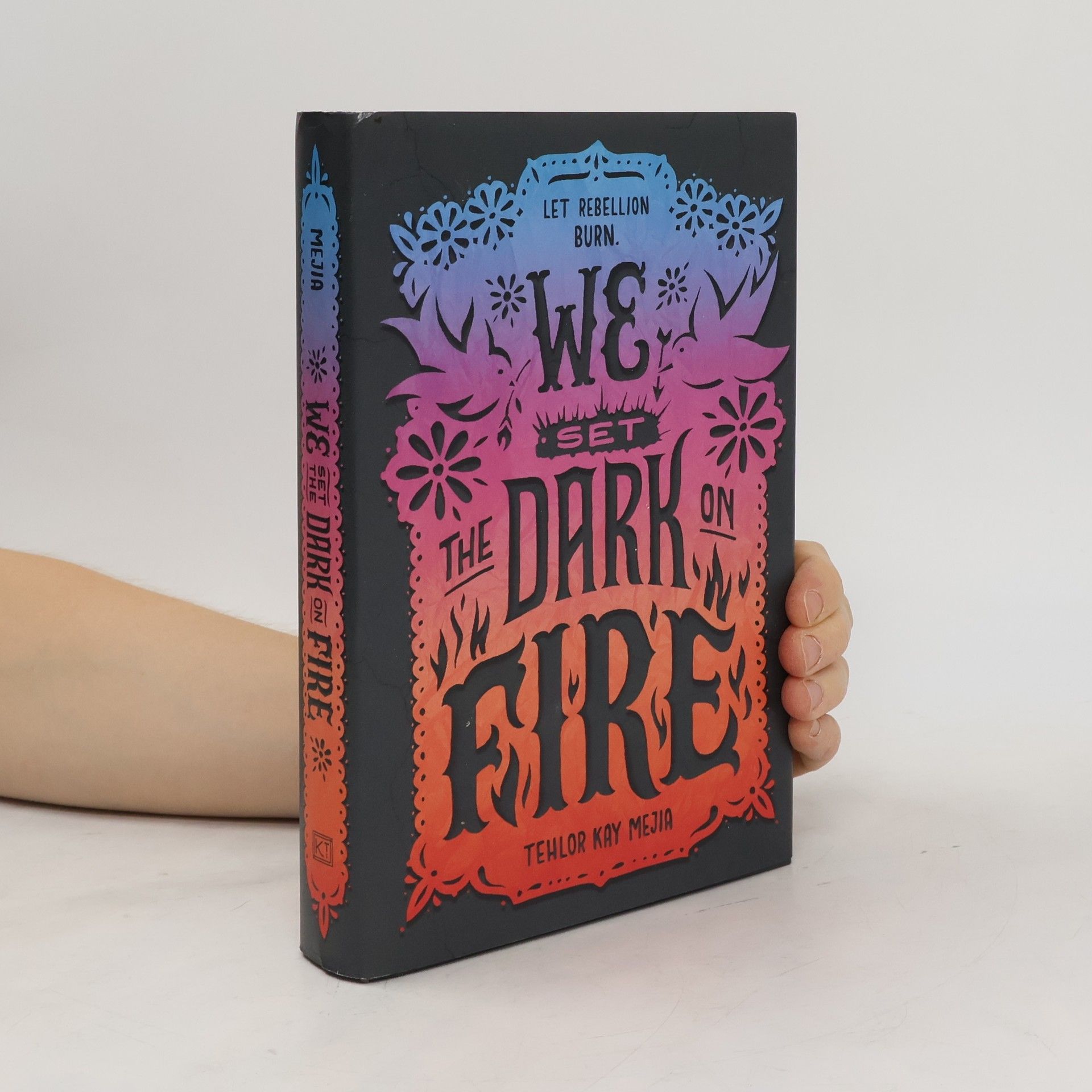 Tehlor Kay Mejia We Set the Dark on Fire