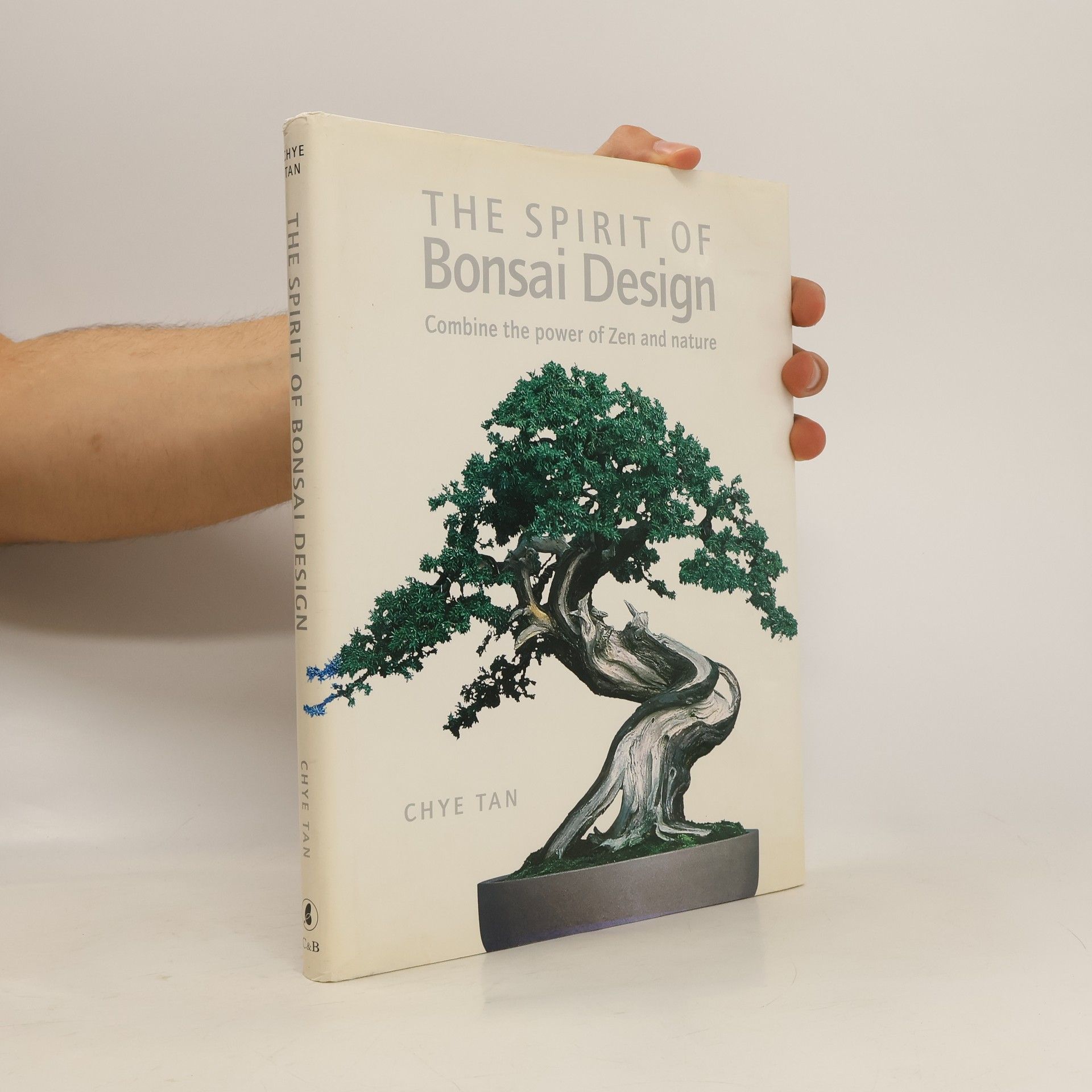 Chye Tan The spirit of bonsai design