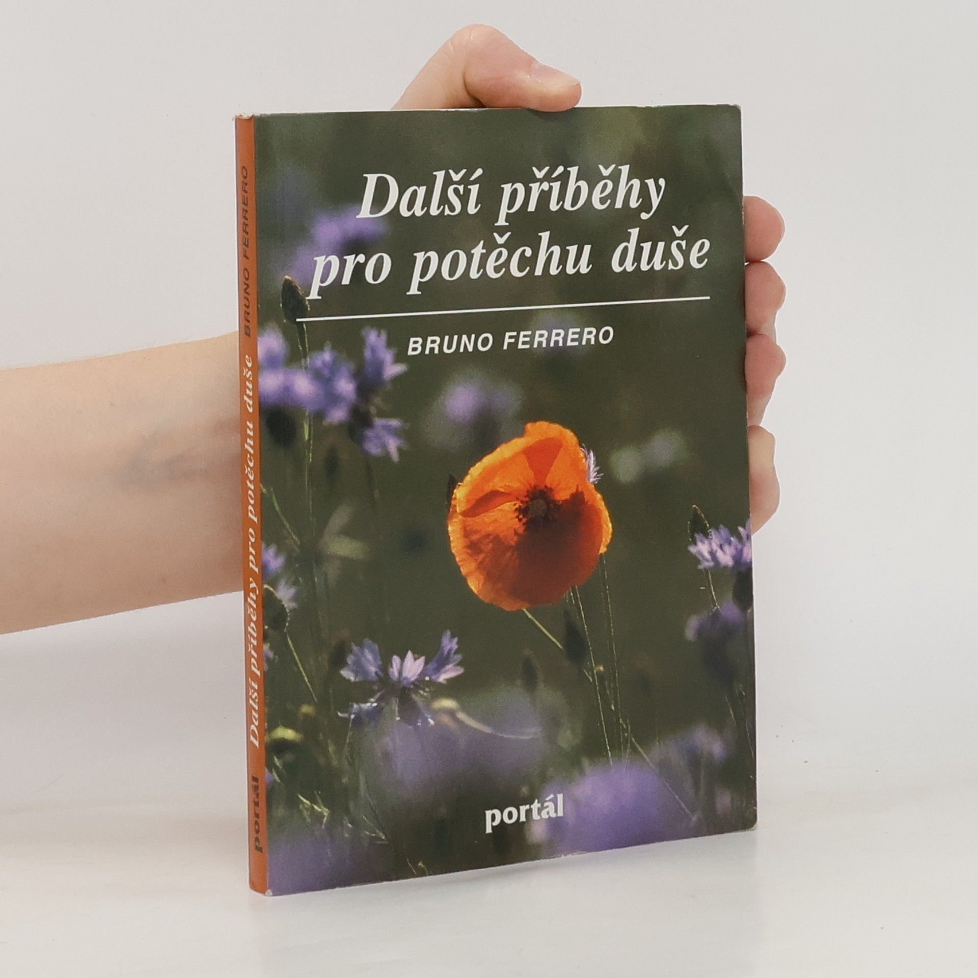 Další příběhy pro potěchu duše