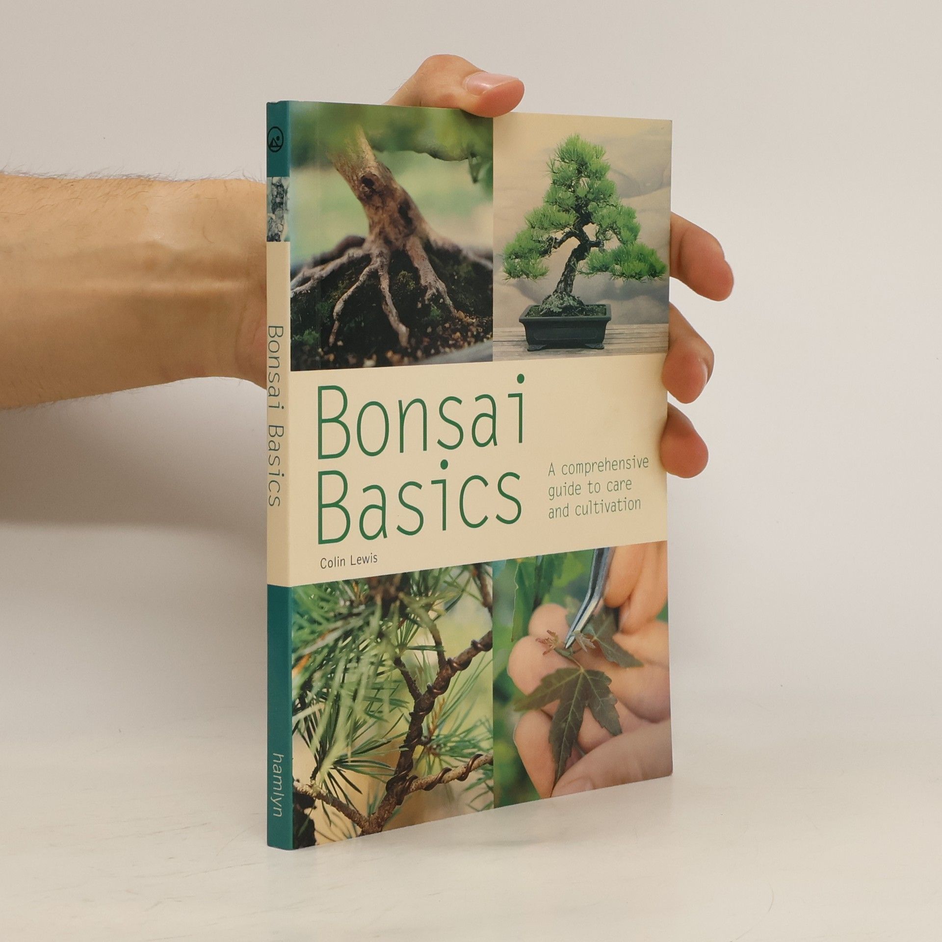 Colin Lewis Bonsai Basics
