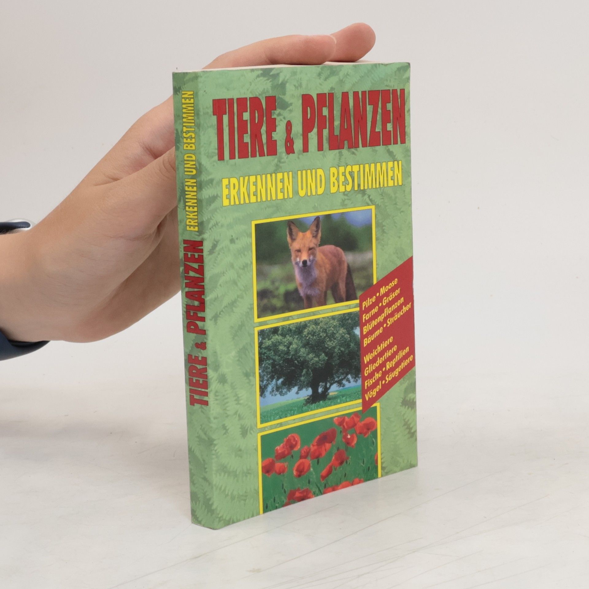 Christine Jaitner Tiere & Pflanzen erkennen und bestimmen