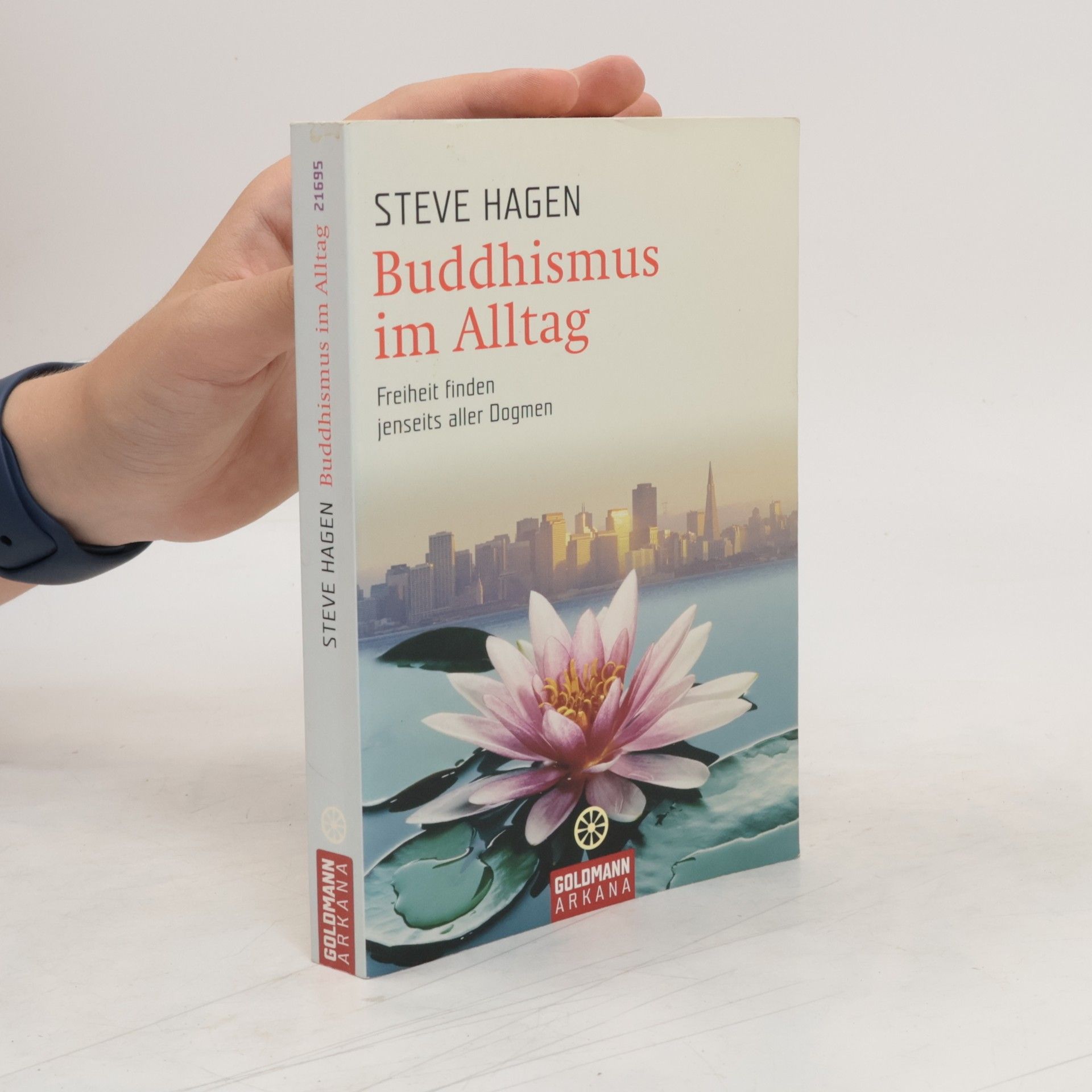 Steve Hagen Buddhismus im Alltag