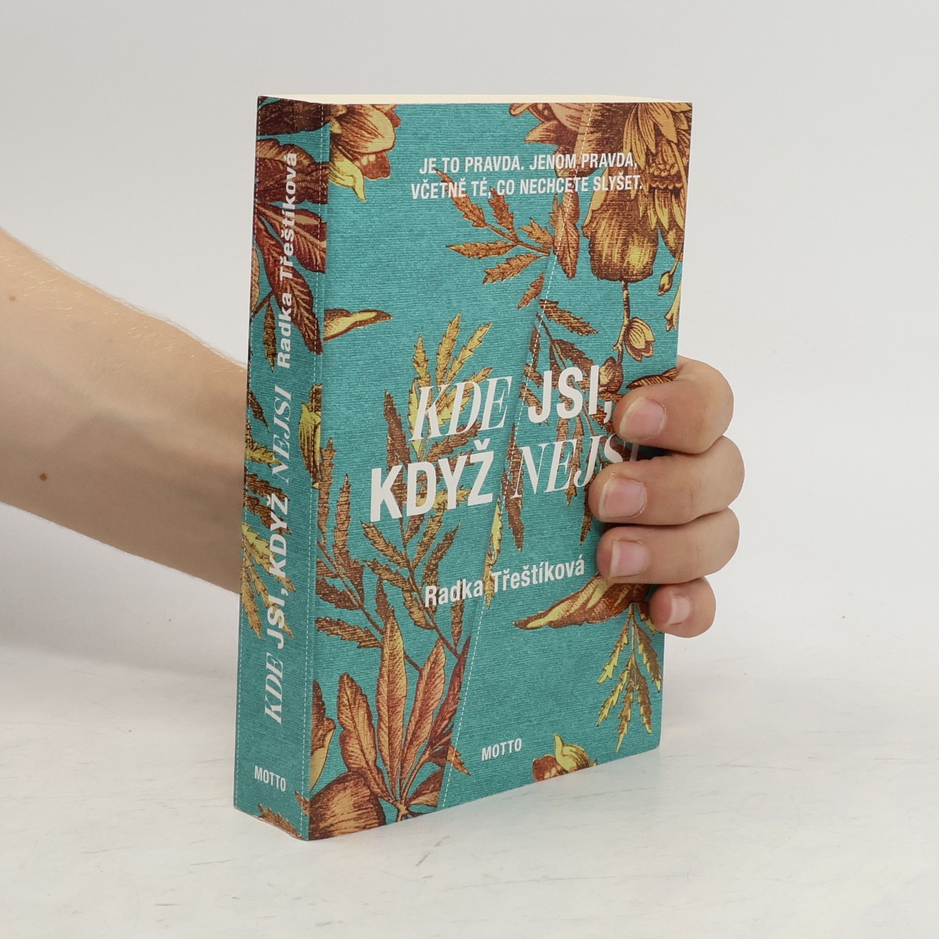 Radka Třeštíková Kde jsi, když nejsi