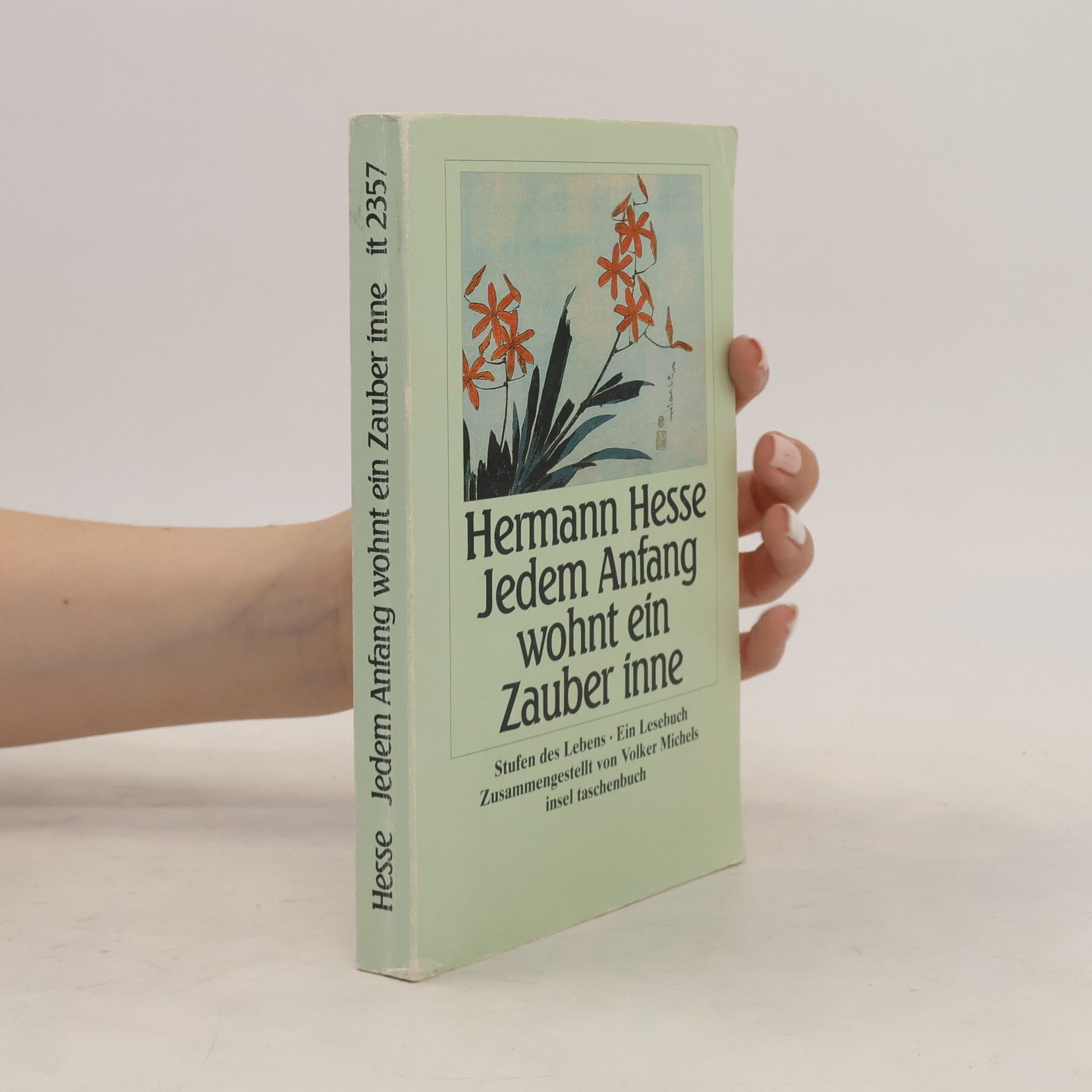 Hermann Hesse Jedem Anfang wohnt ein Zauber inne