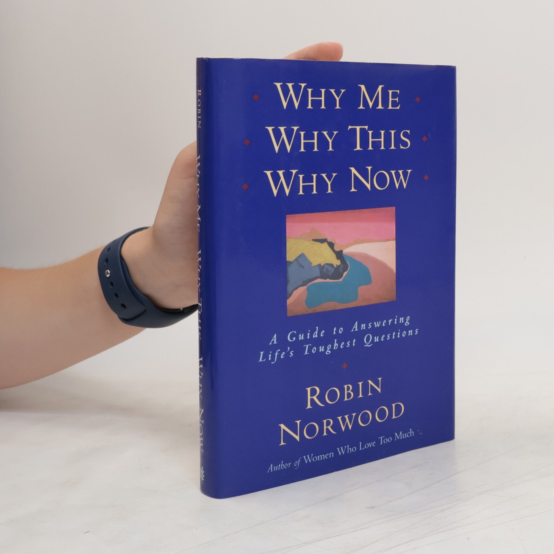 Robin Norwood Why Me, Why This, Why Now