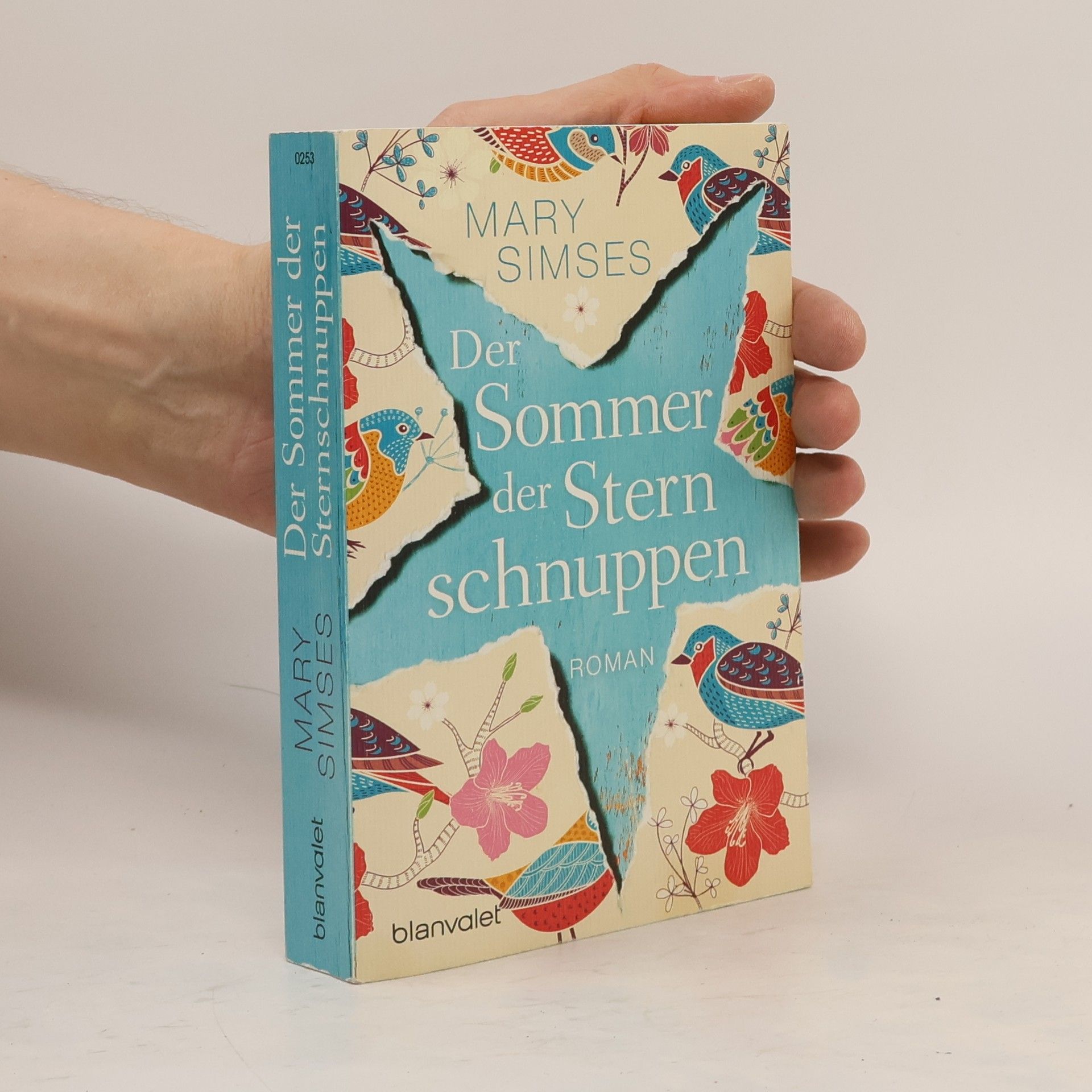 Mary Simses Der Sommer der Sternschnuppen