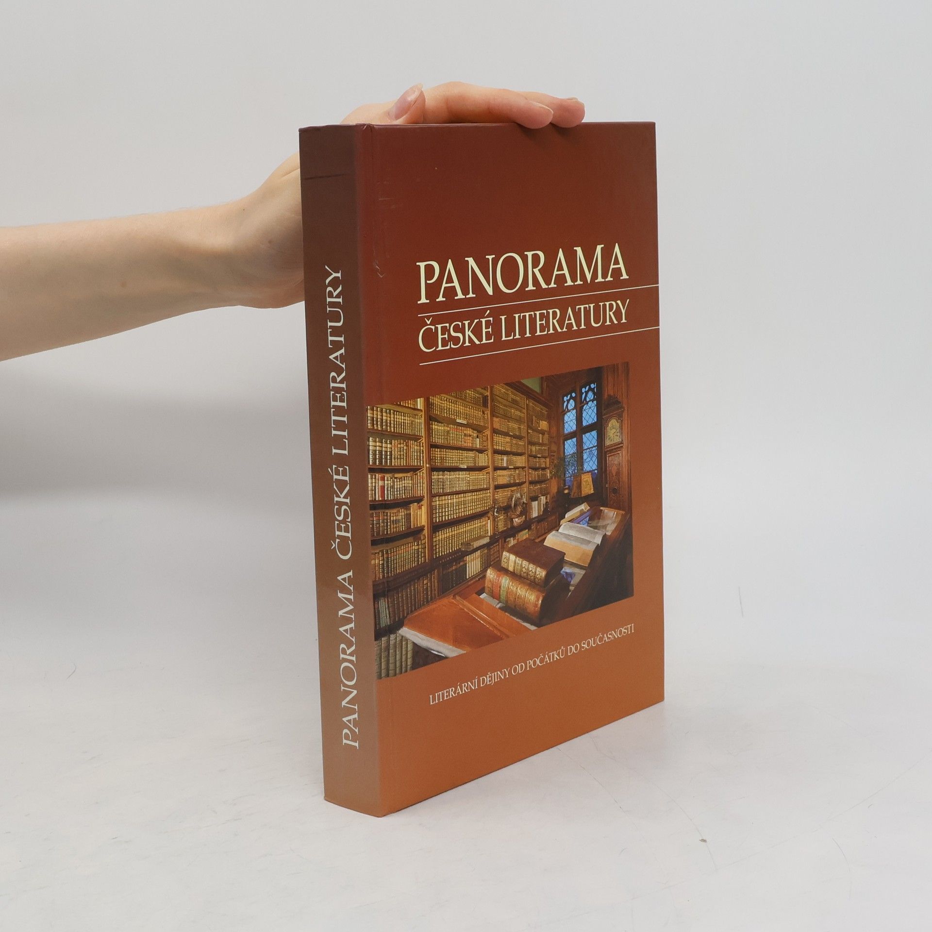 Kolektiv autorů Panorama české literatury. Literární dějiny od počátků do současnosti