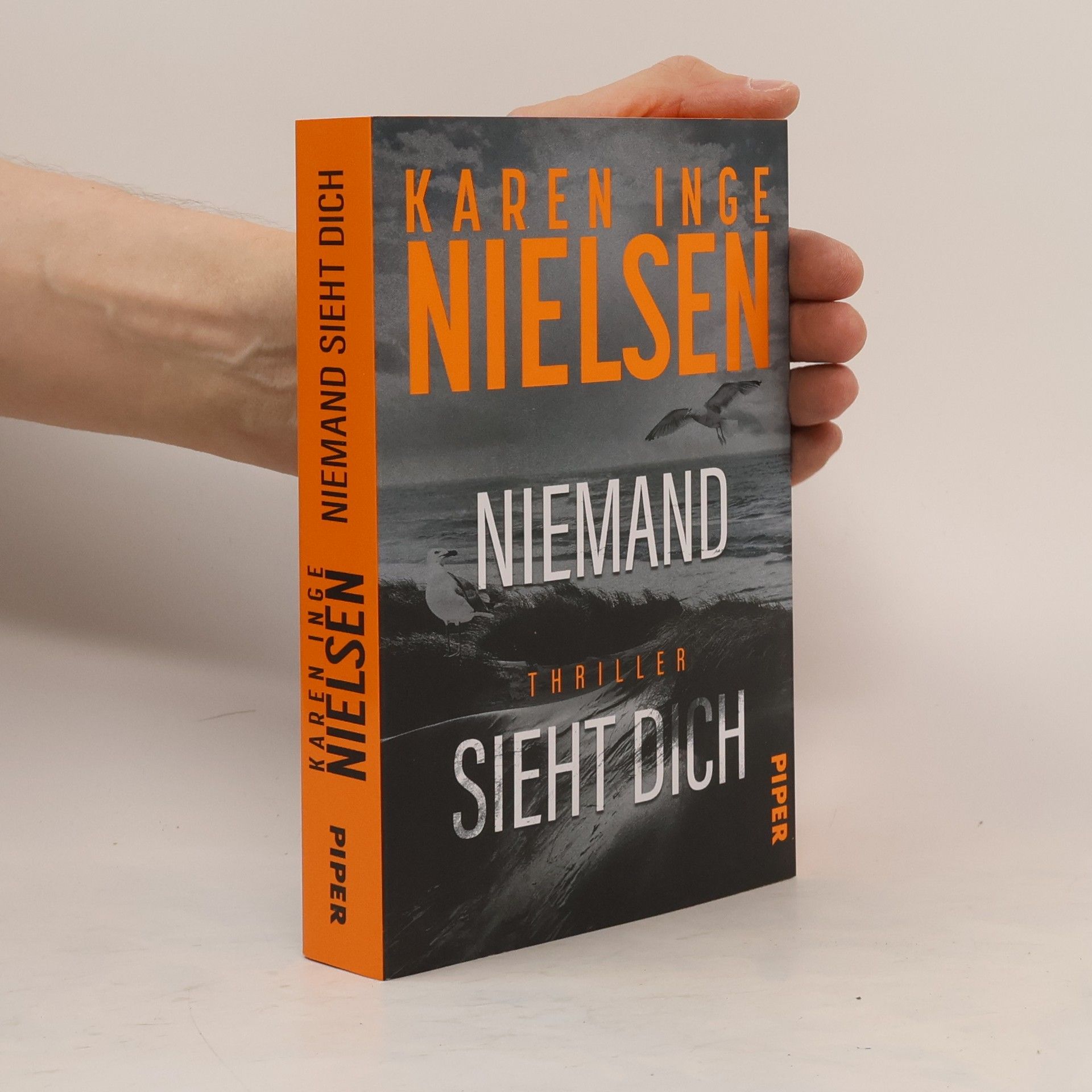 Karen Inge Nielsen Niemand sieht dich
