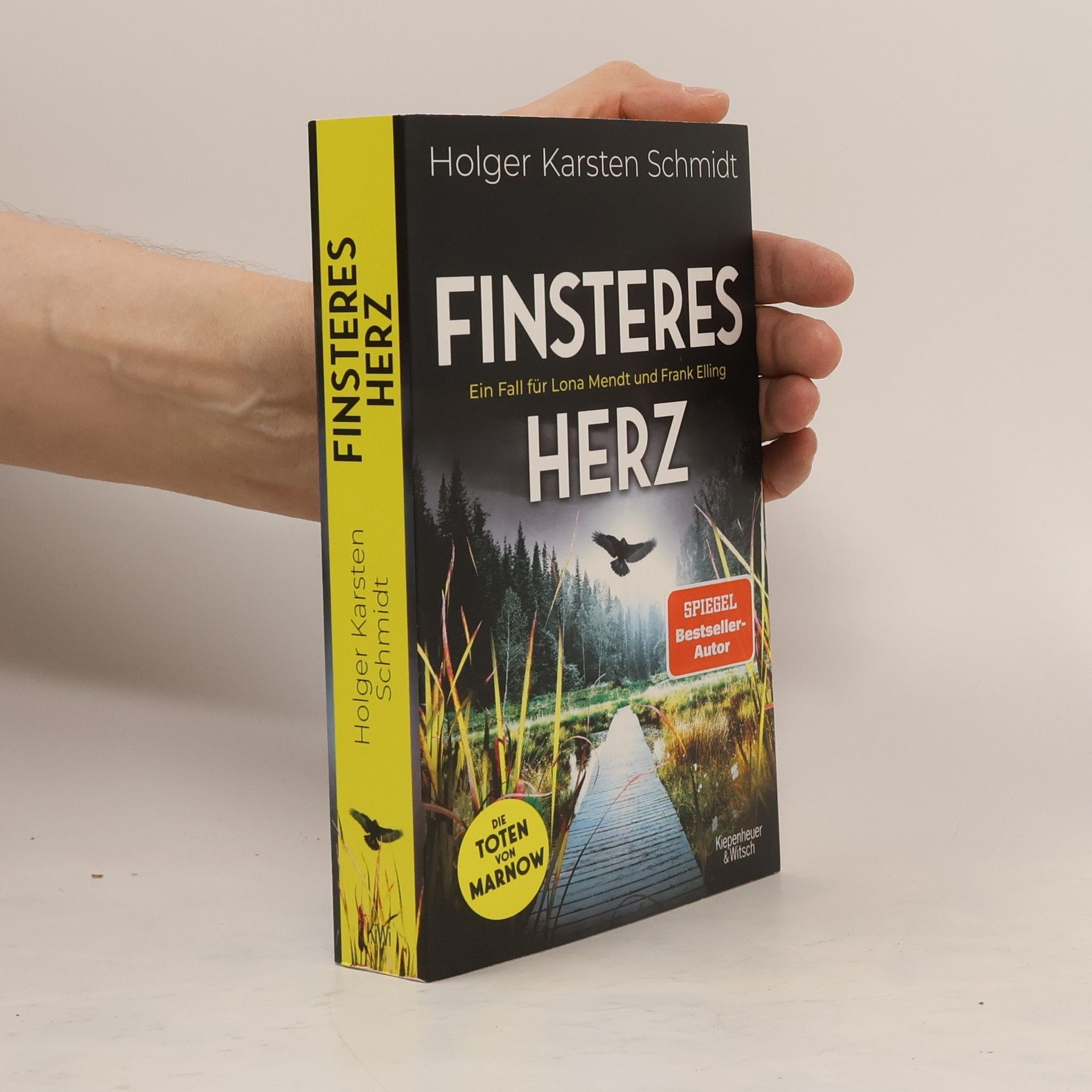 Holger Karsten Schmidt Finsteres Herz. Ein Fall für Lona Mendt und Frank Elling