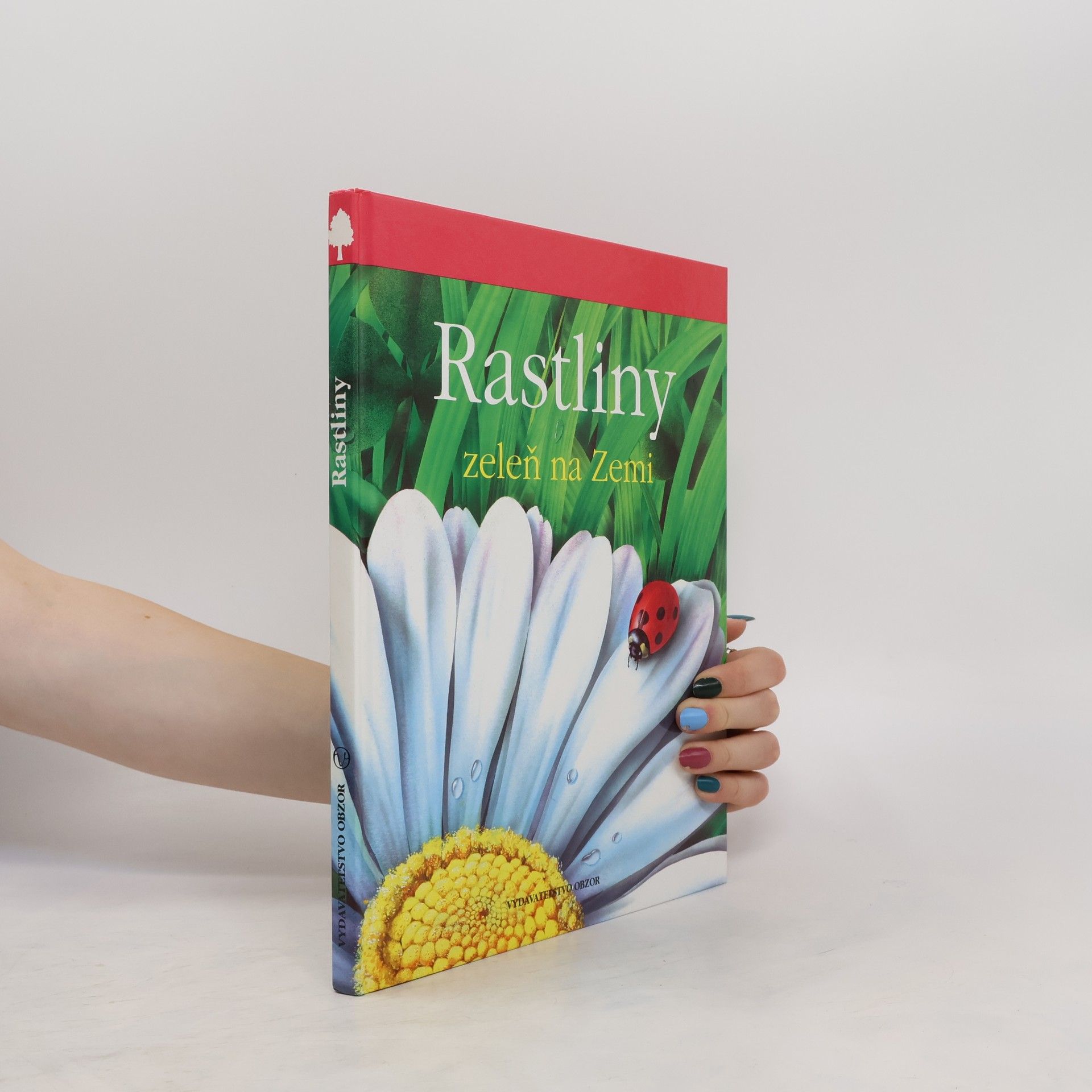 Collective Rastlinky zeleň na zemi