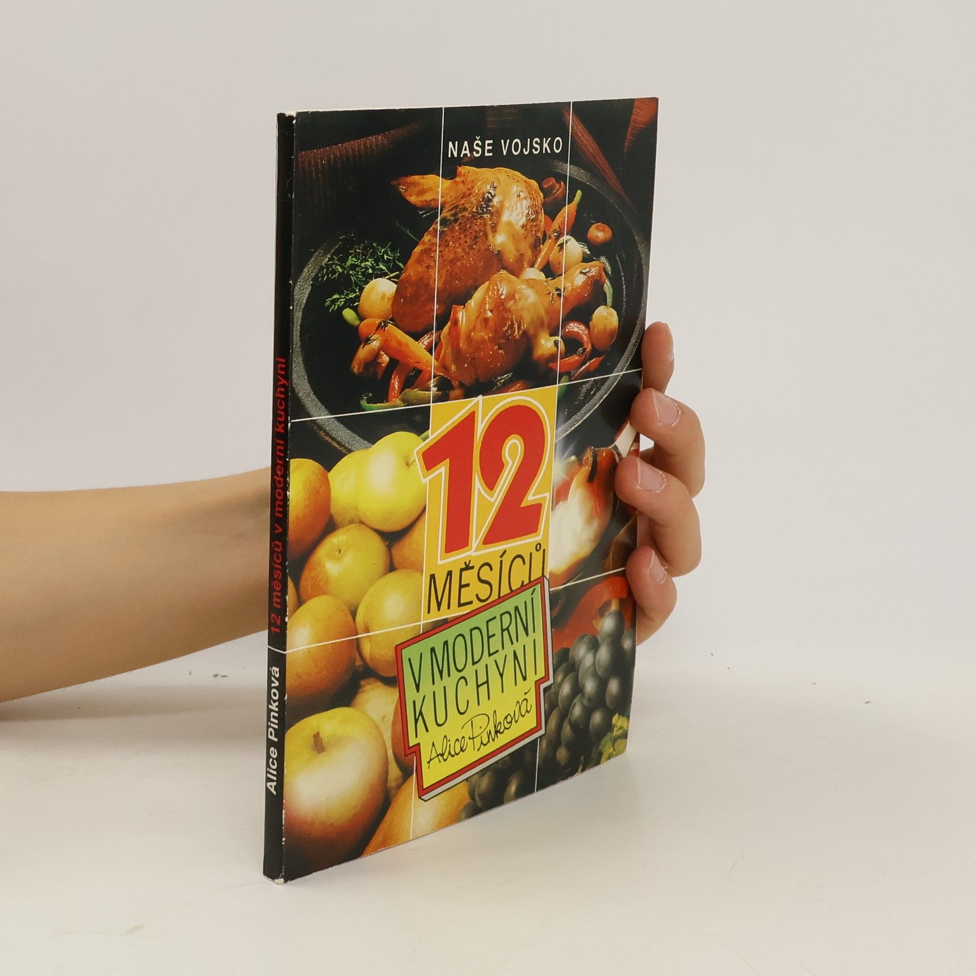 Alice Pinková 12 měsíců v moderní kuchyni