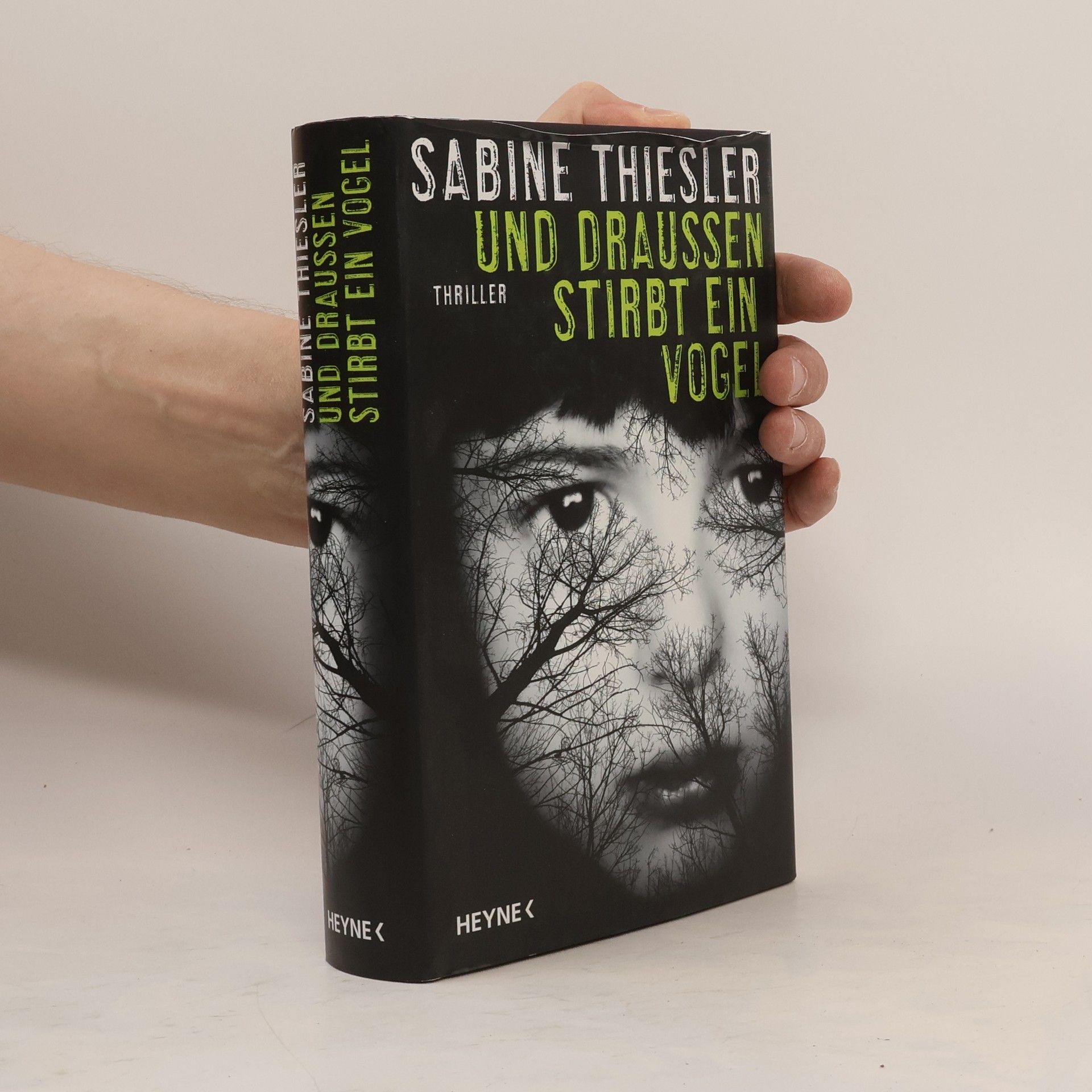 Sabine Thiesler Und draußen stirbt ein Vogel