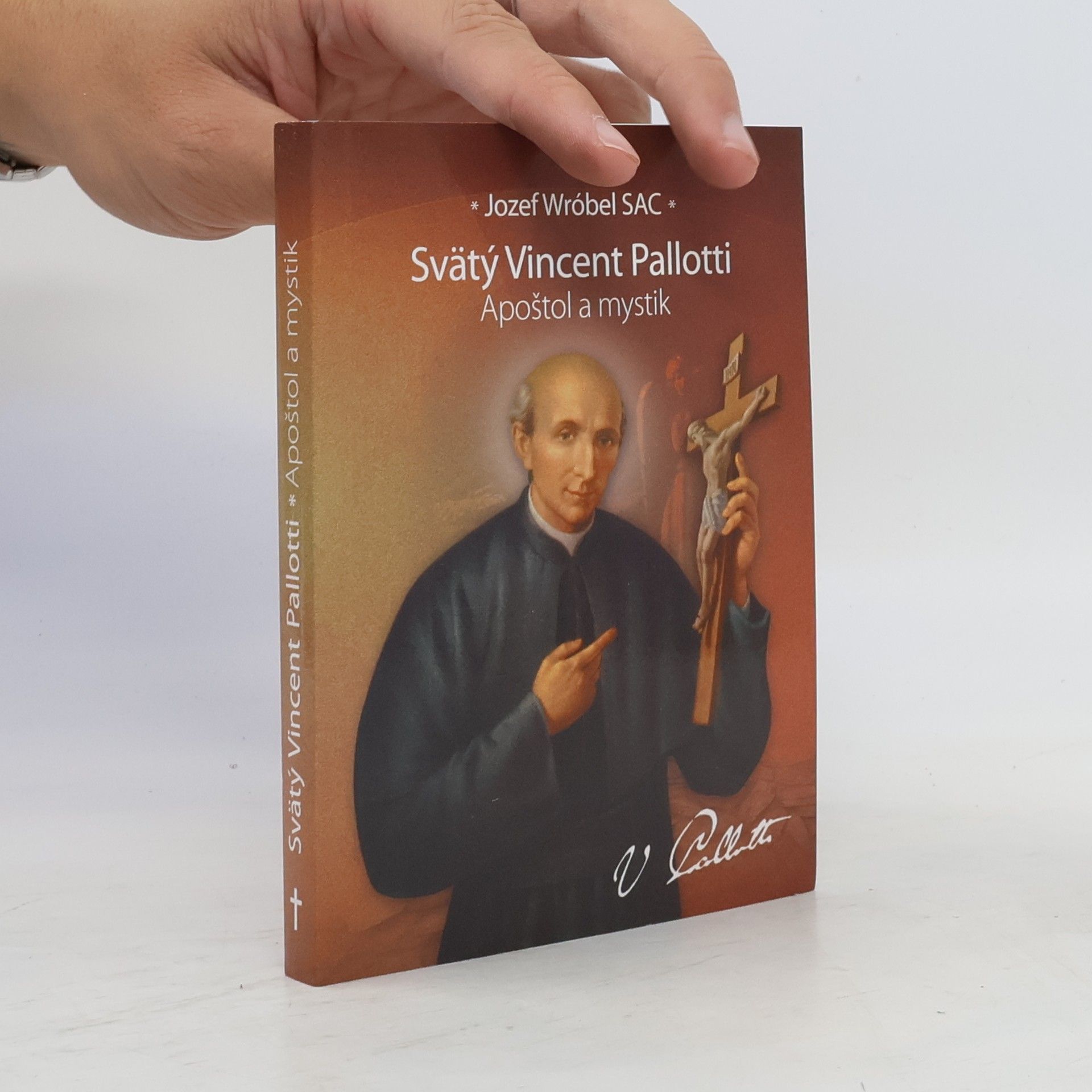 Jozef Wróbel Svätý Vincent Pallotti. Apoštol a mystik