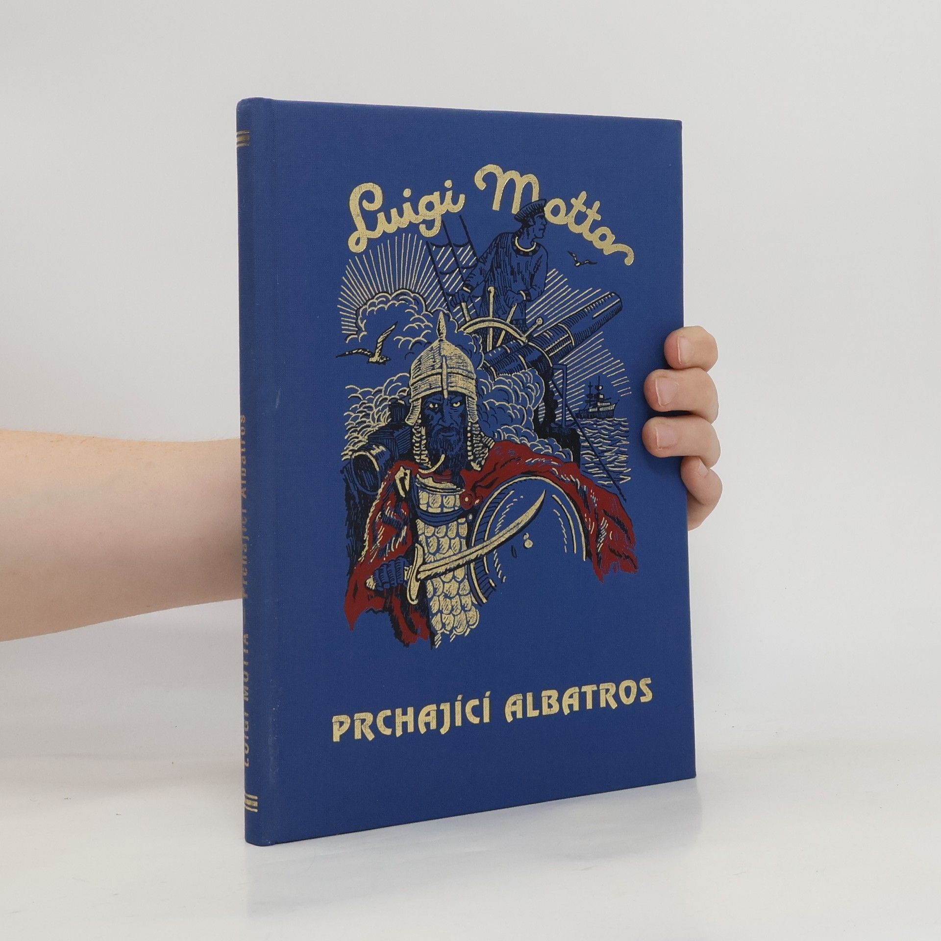 Luigi Motta Prchající Albatros