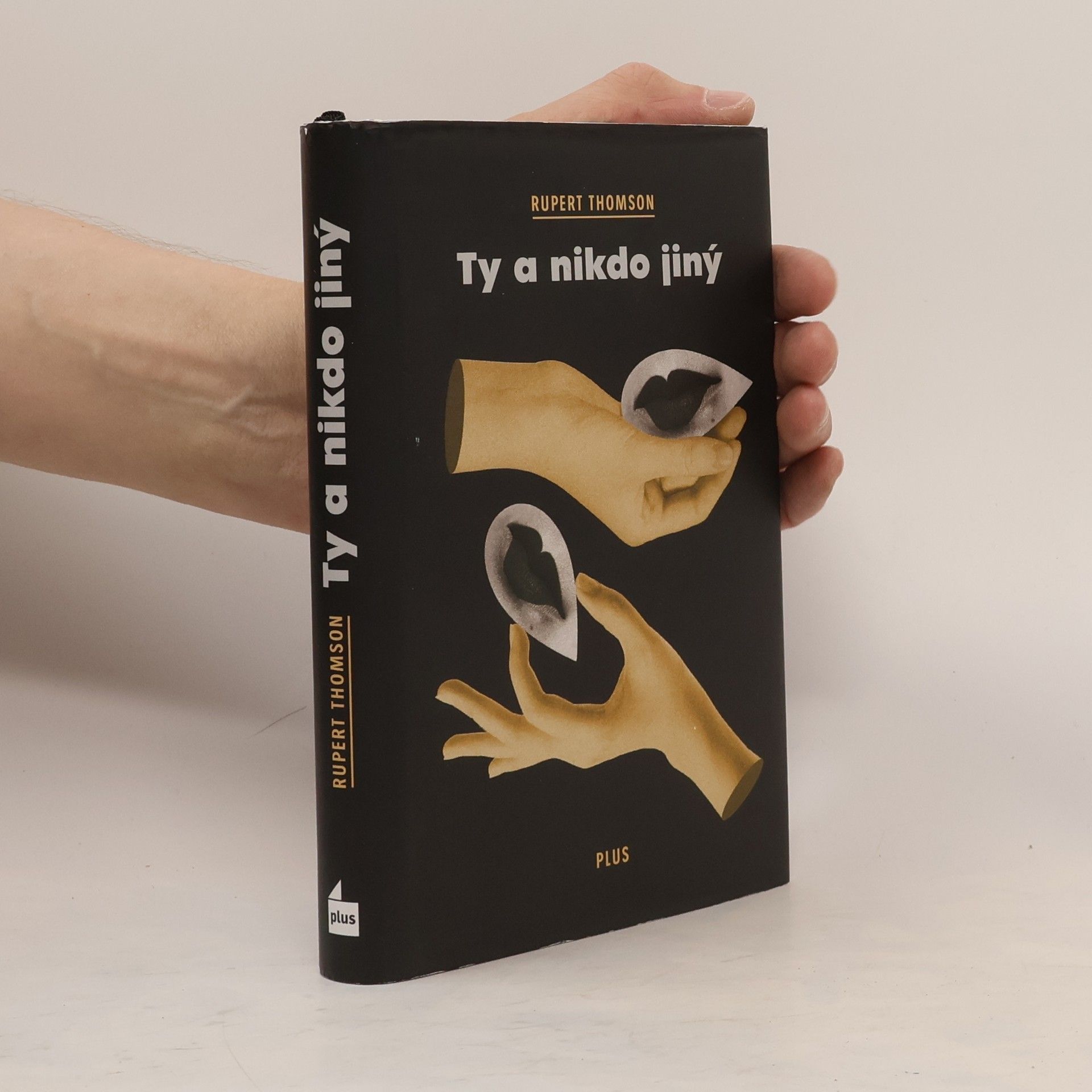 Rupert Thomson Ty a nikdo jiný