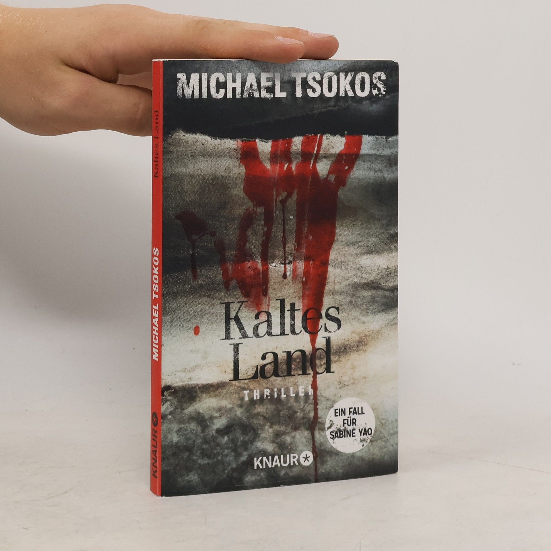 Michael Tsokos Kaltes Land