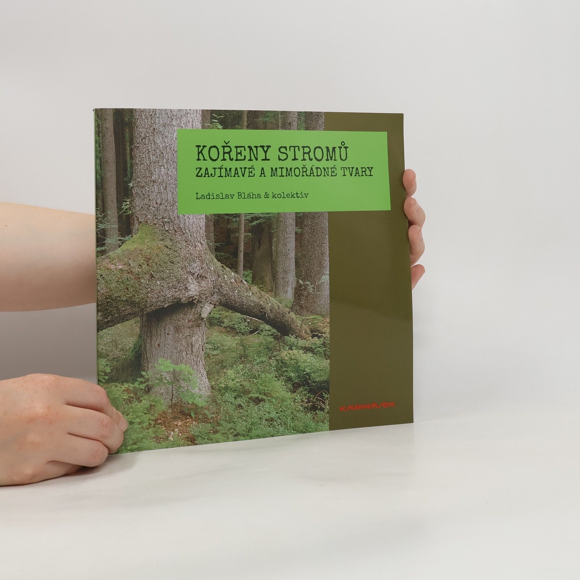 Ladislav Bláha Kořeny stromů