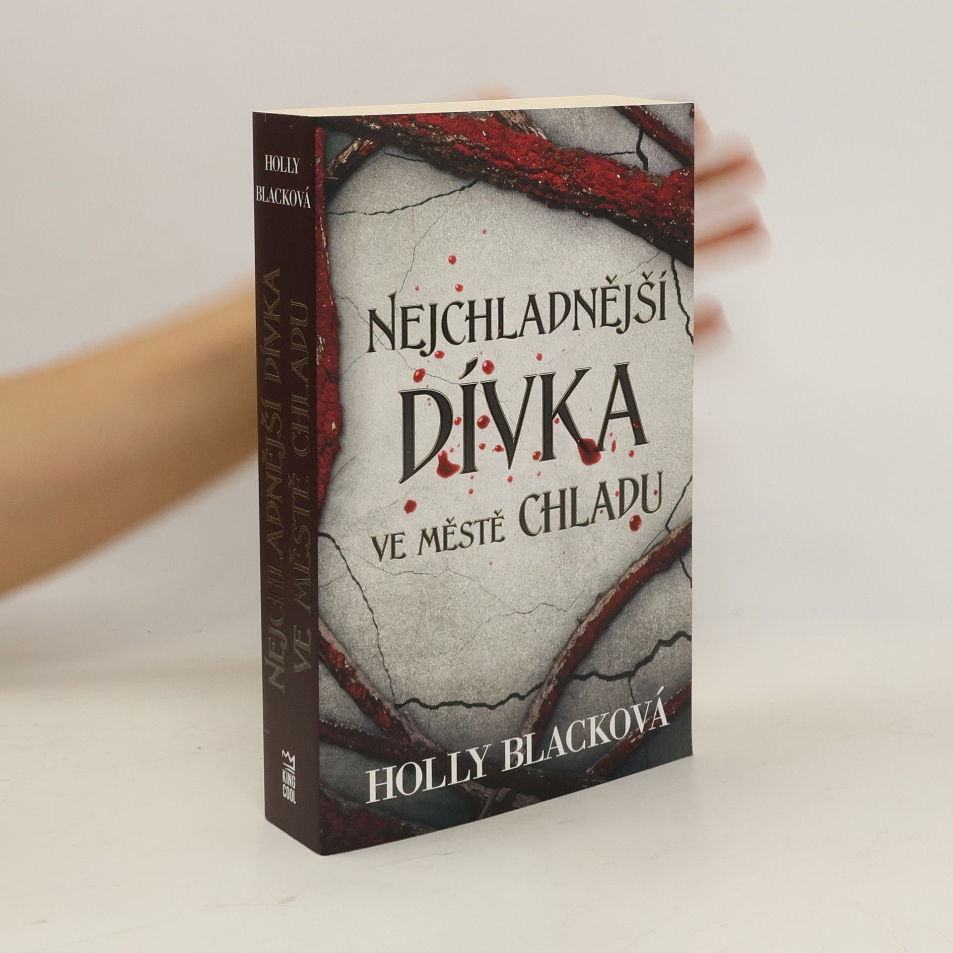 Holly Black Nejchladnější dívka ve městě chladu