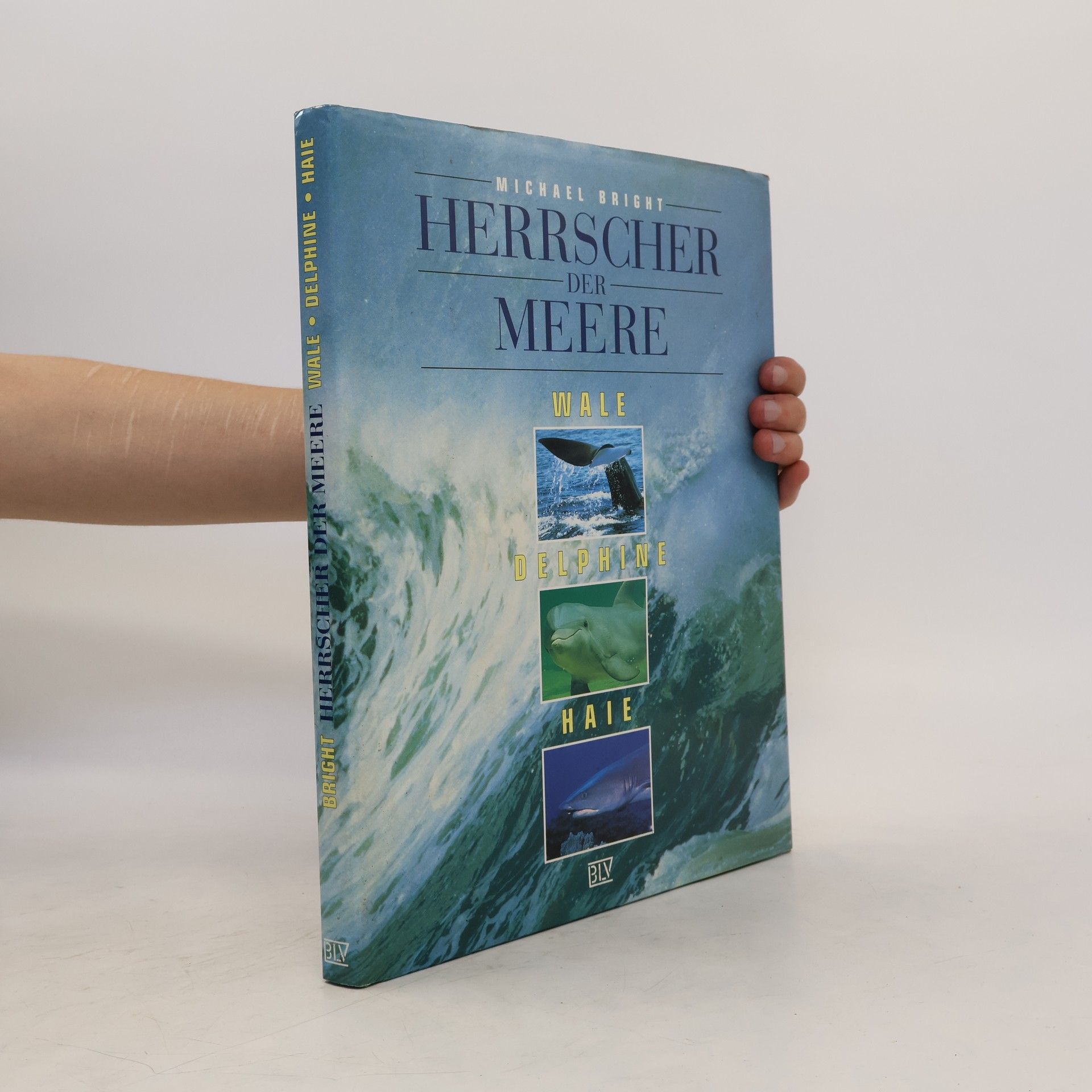 Michael Bright Herrscher der Meere