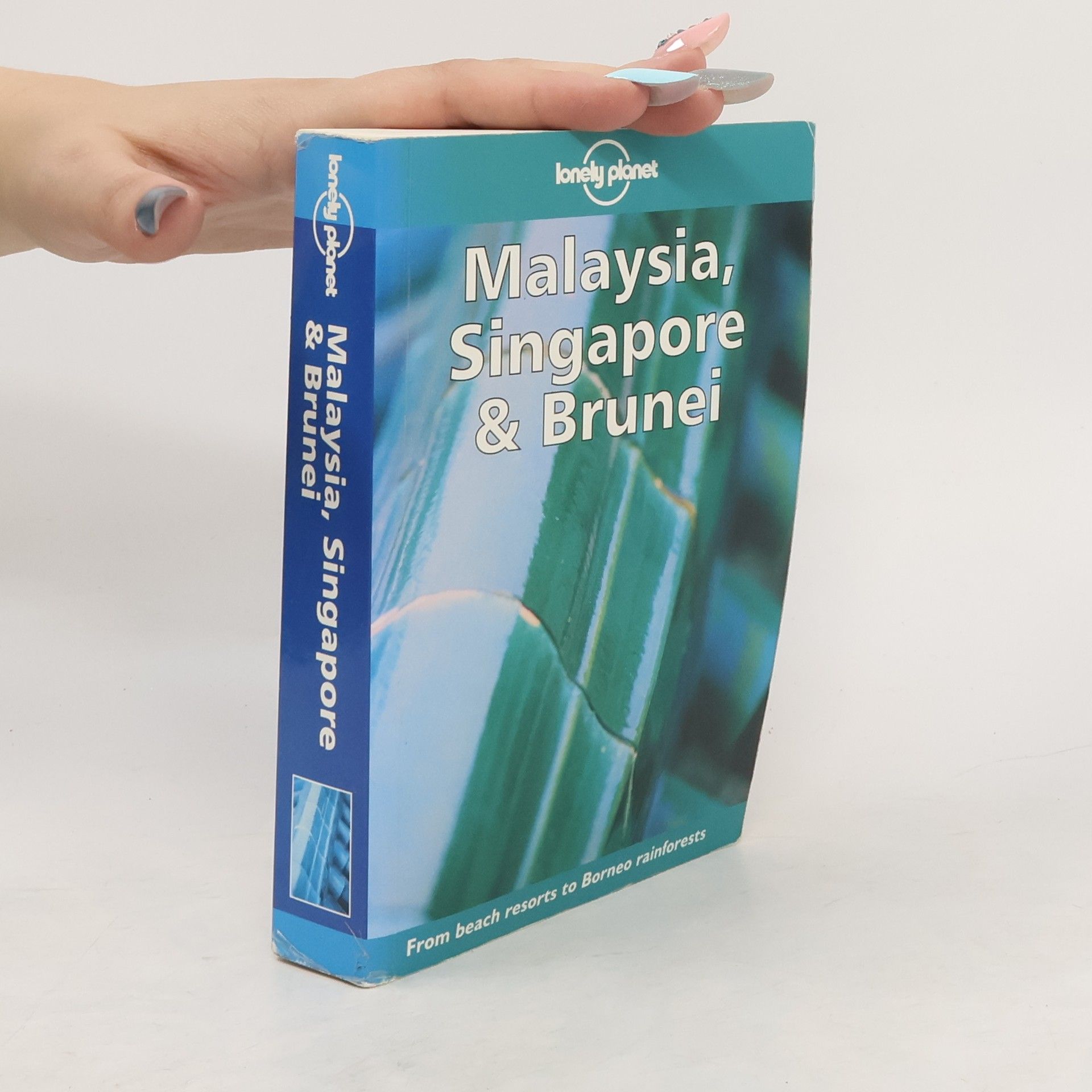 Chris Rowhtorn Lonely Planet Malaysia, Singapore and Brunei