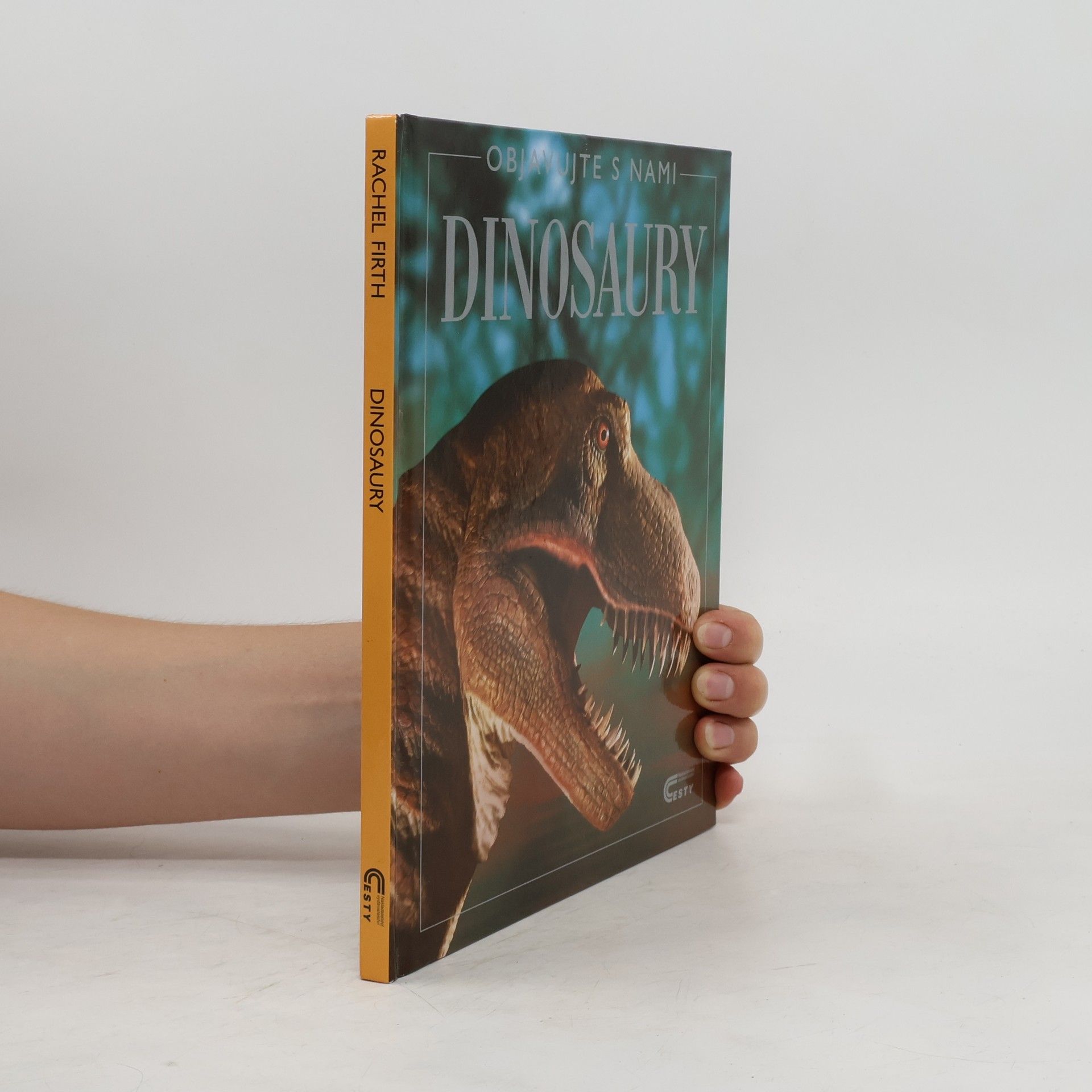 Rachel Firth Dinosaury