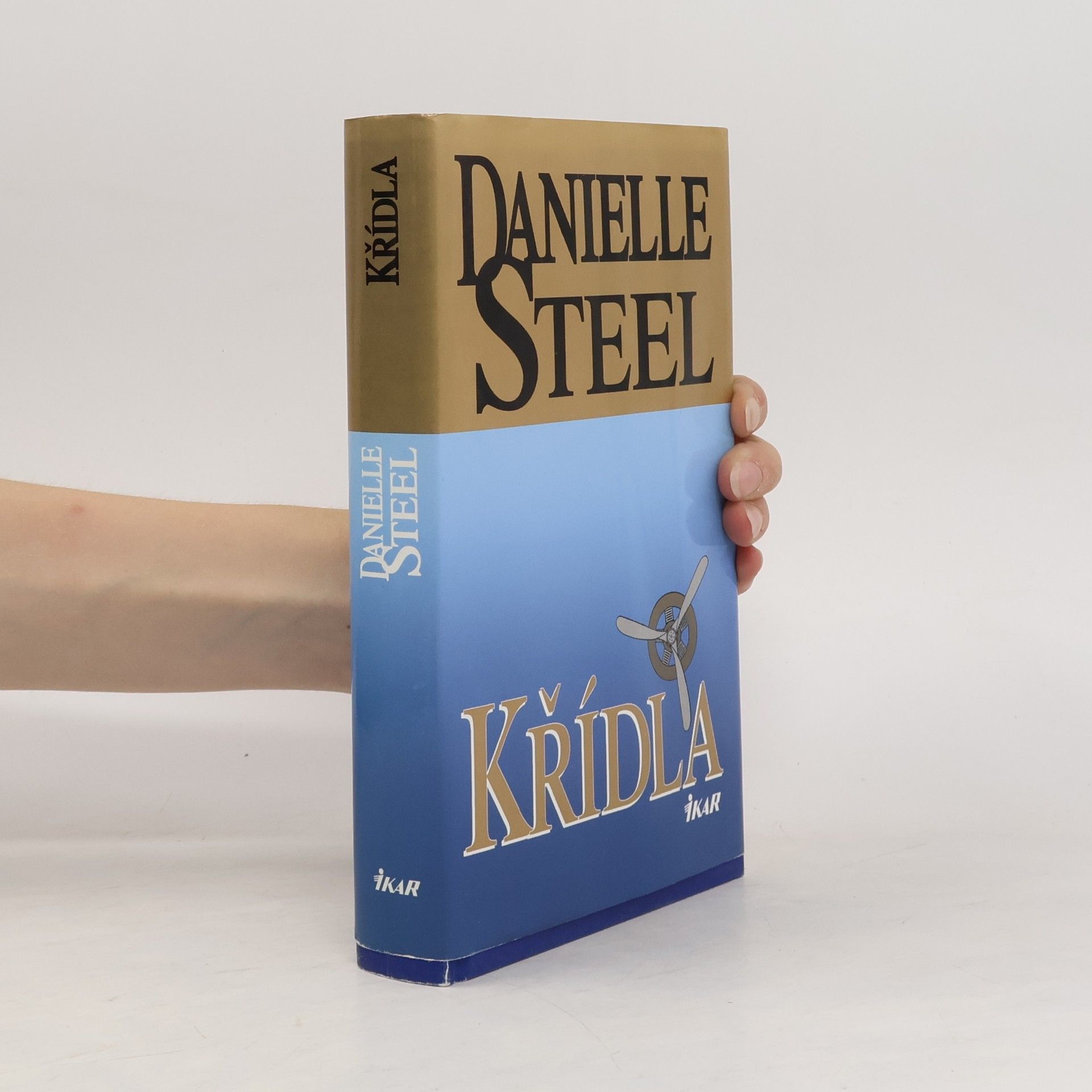 Danielle Steel Křídla