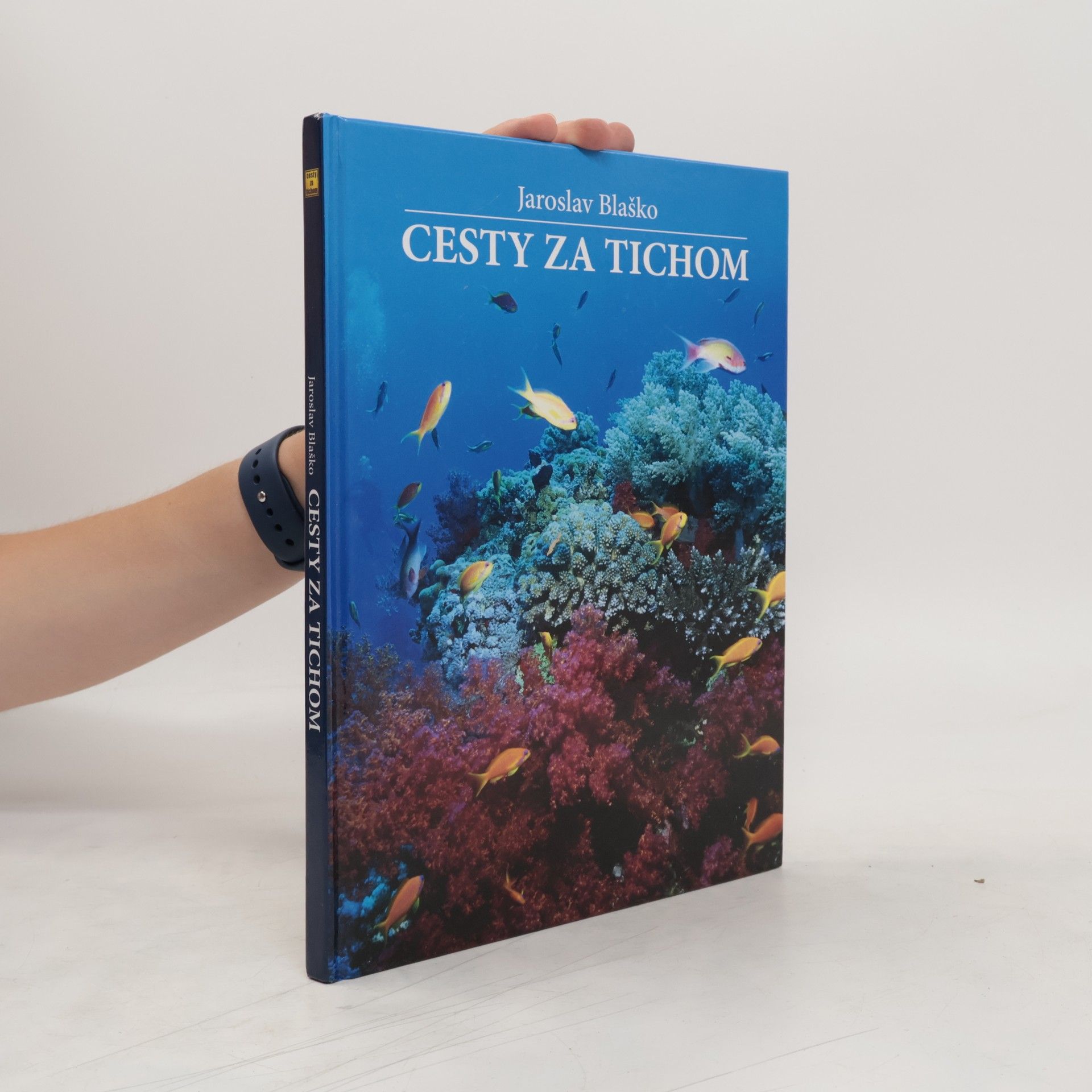 Jaroslav Blaško Cesty za tichom