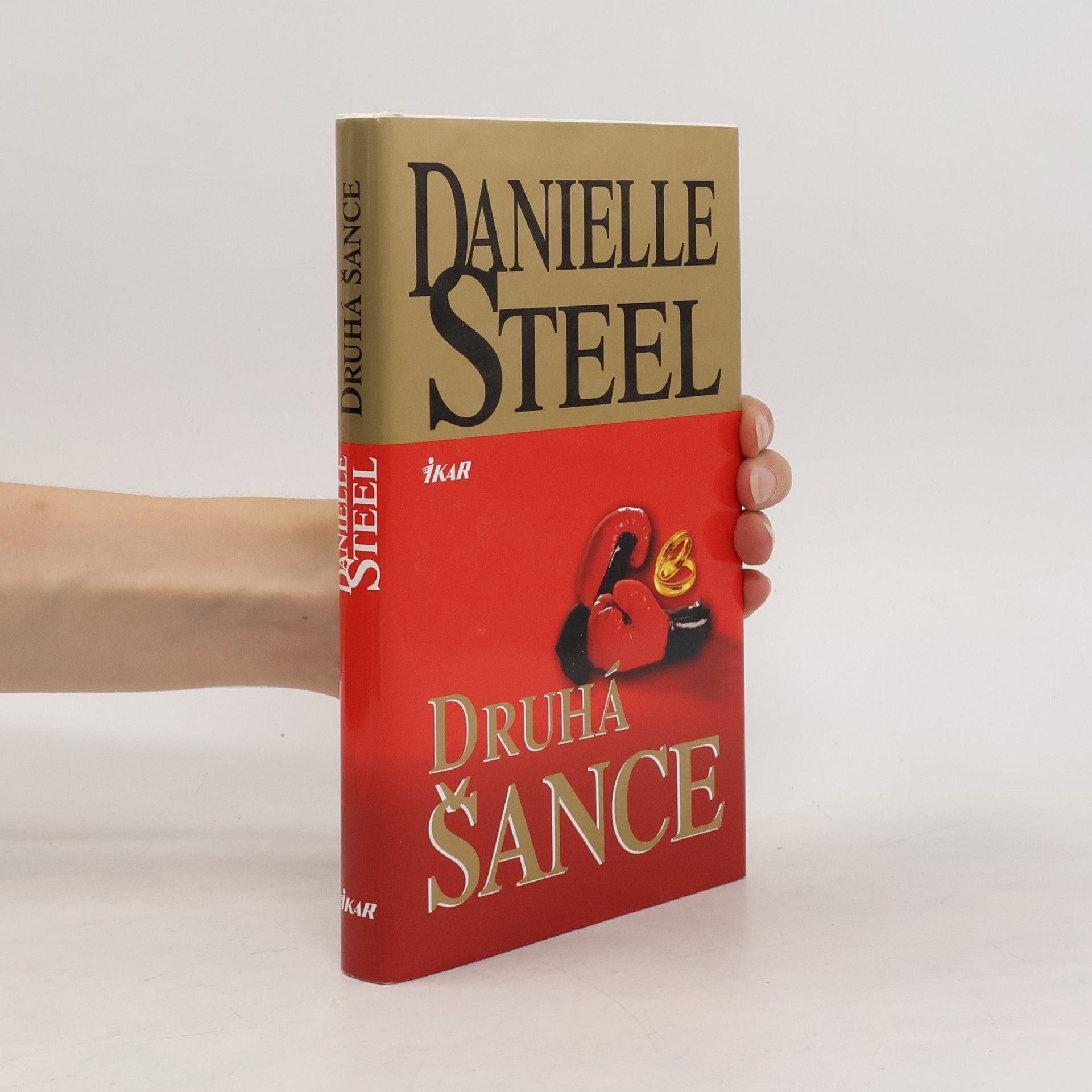 Danielle Steel Druhá šance