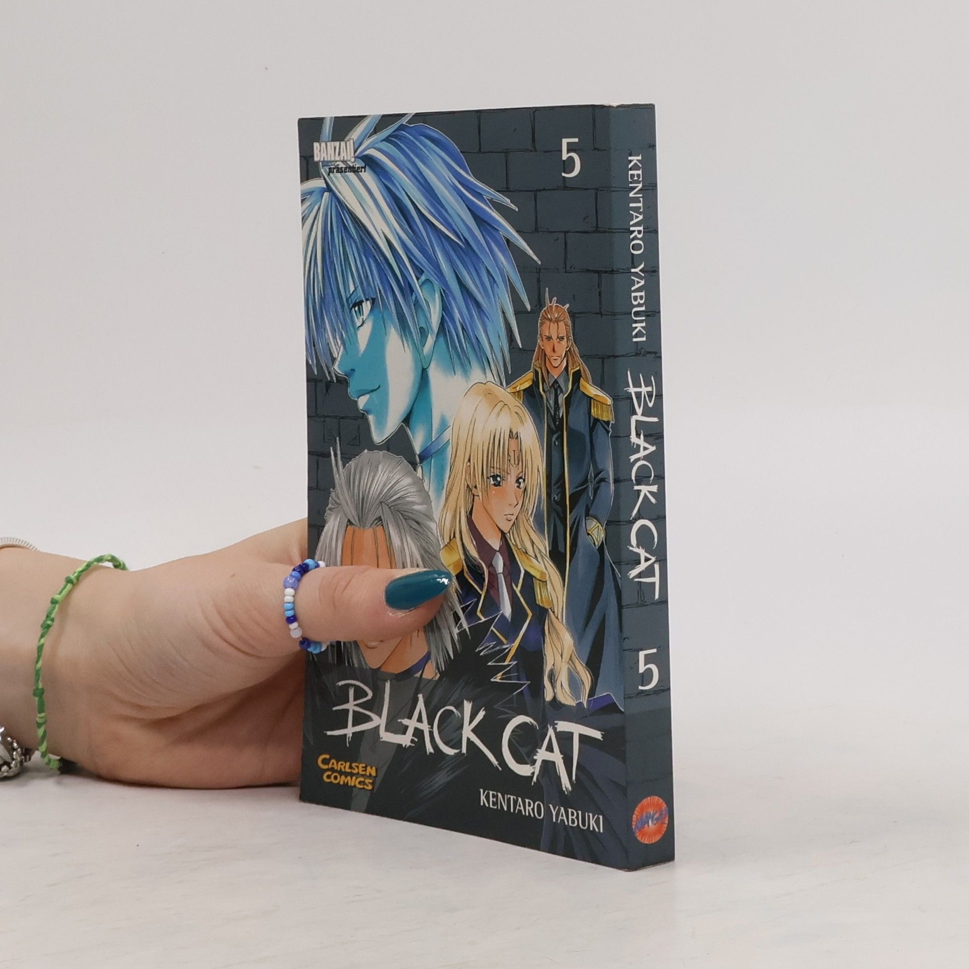 Kentaro Yabuki Black Cat 5