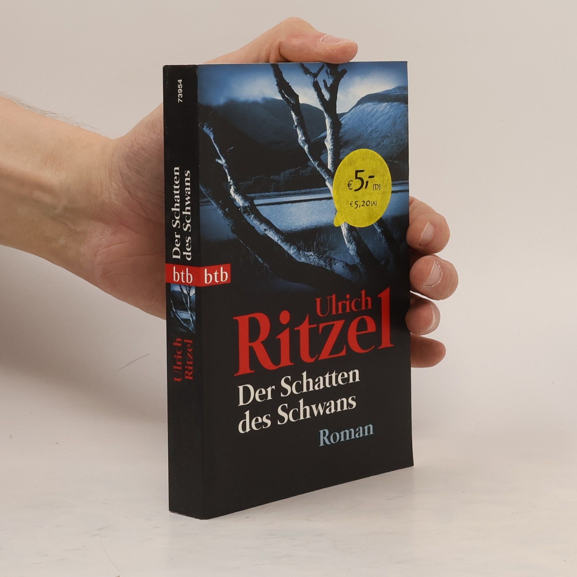 Ulrich Ritzel Der Schatten des Schwans