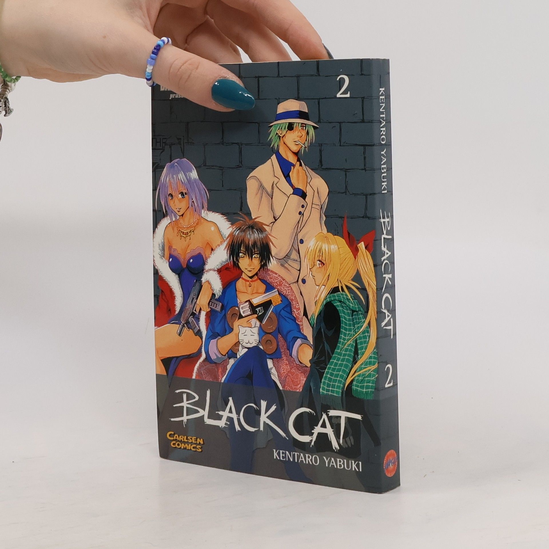 Kentaro Yabuki Black Cat 2