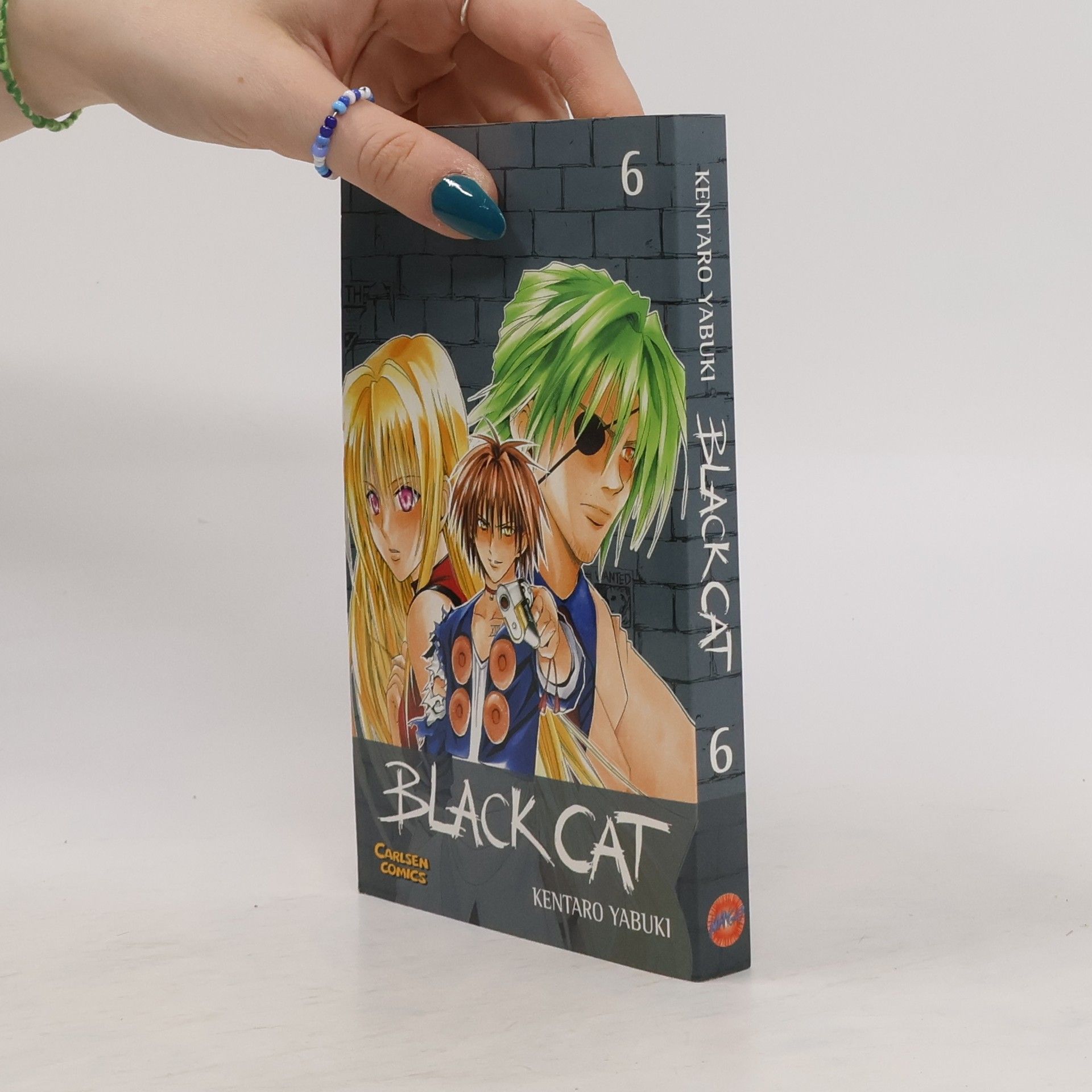 Kentaro Yabuki Black Cat 6
