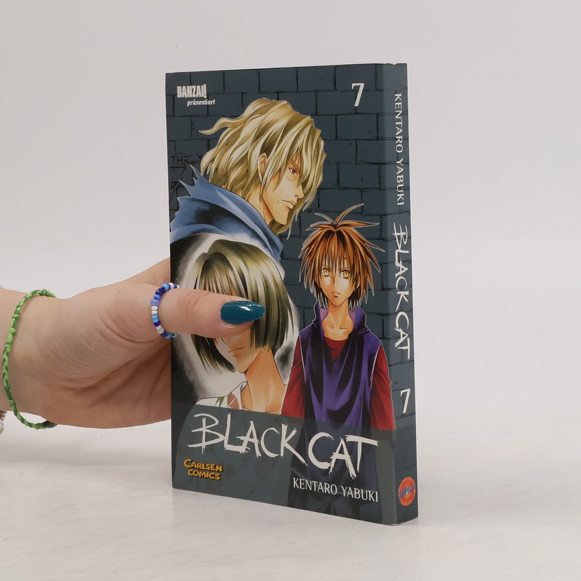 Kentaro Yabuki Black Cat 7