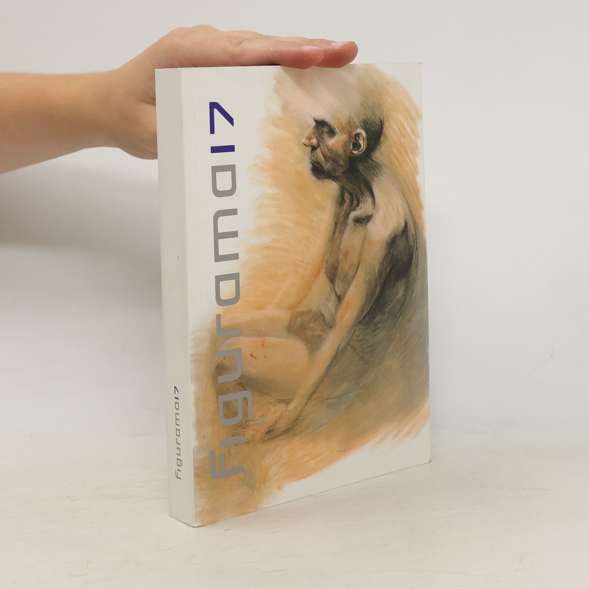 Kolektív autorov Figurama 17