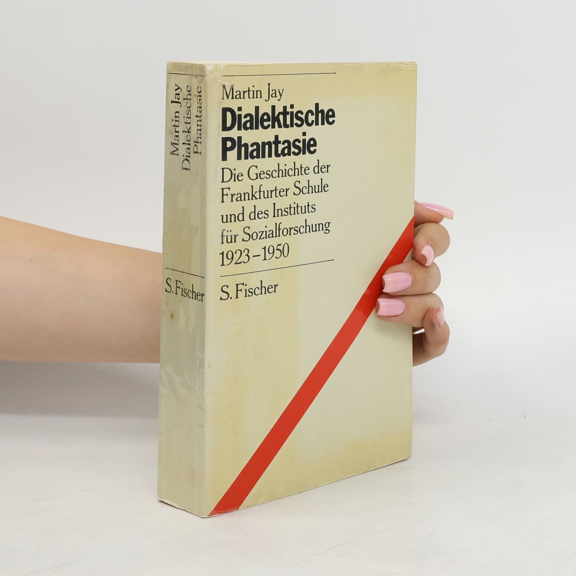 Martin Jay Dialektische Phantasie