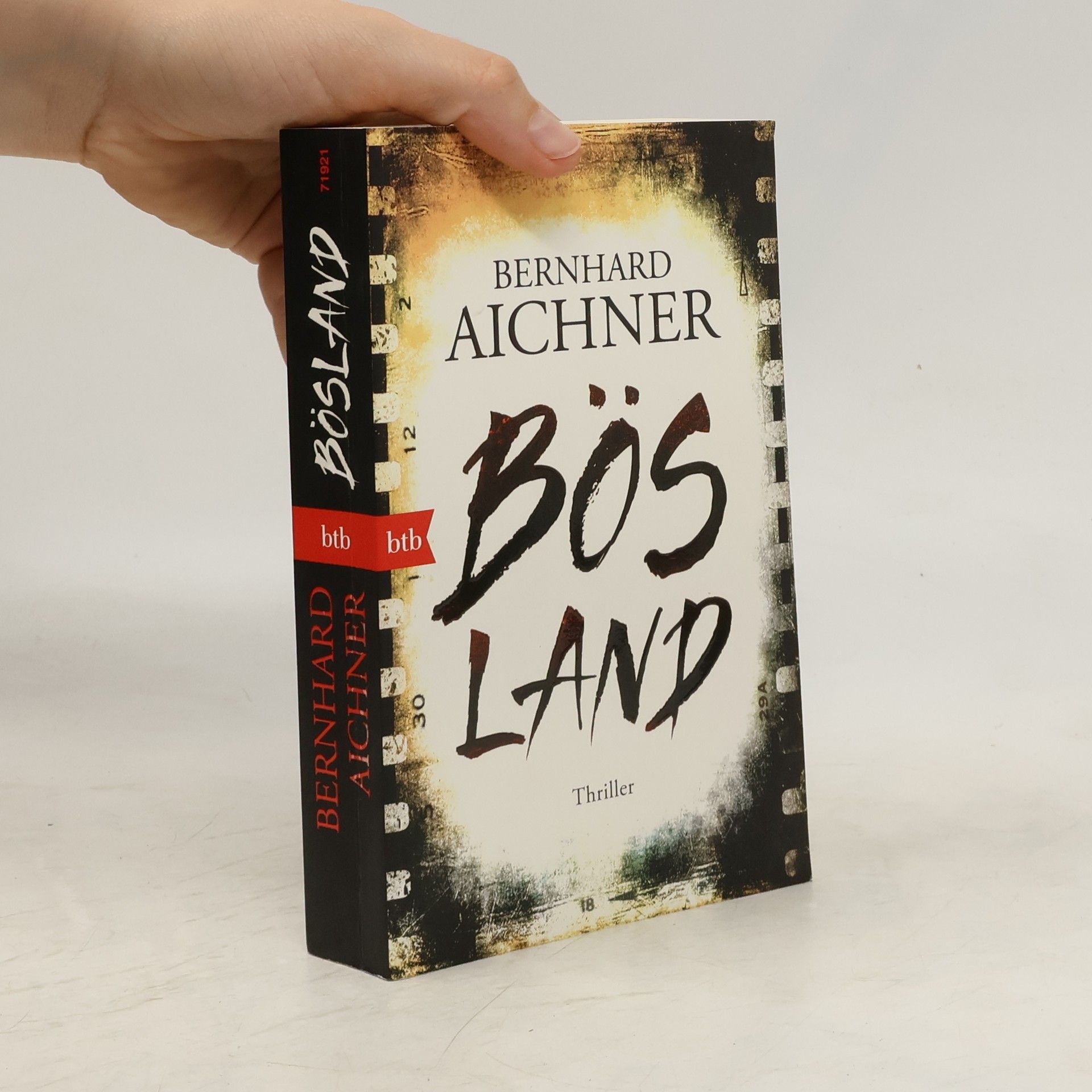 Bernhard Aichner Bösland