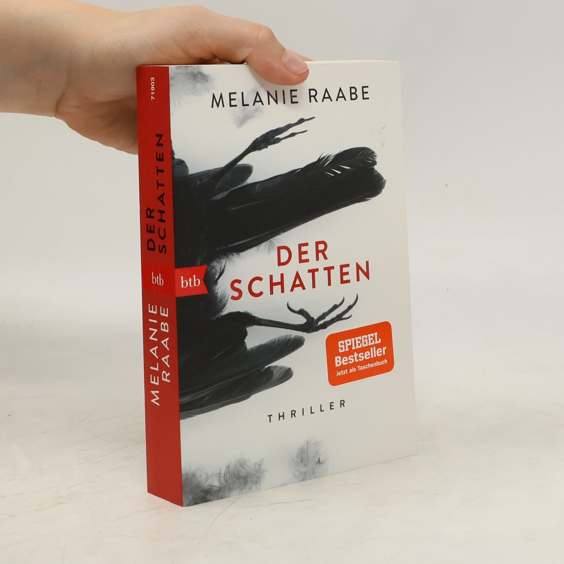 Melanie Raabe Der Schatten