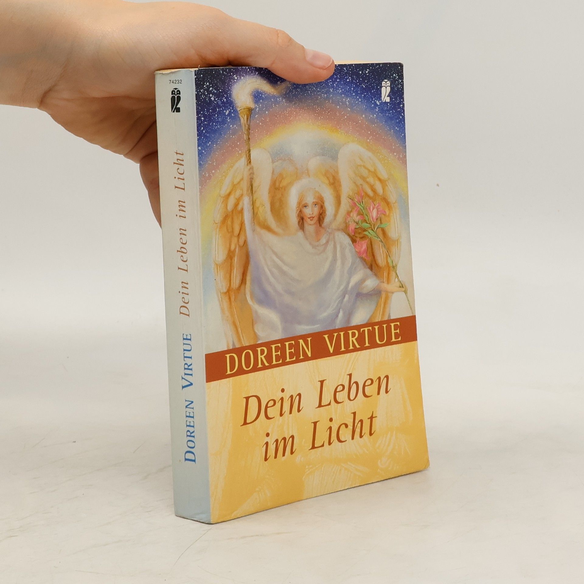 Doreen Virtue Dein Leben im Licht