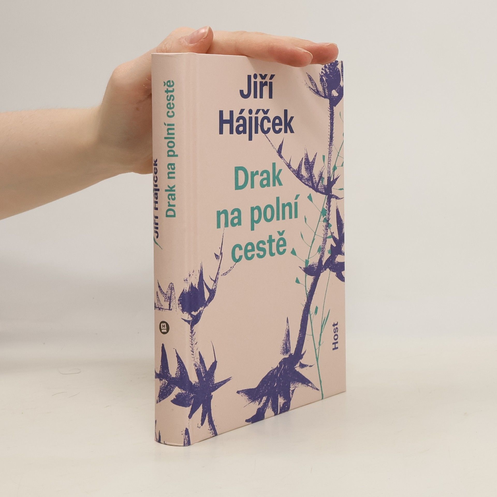 Drak na polní cestě