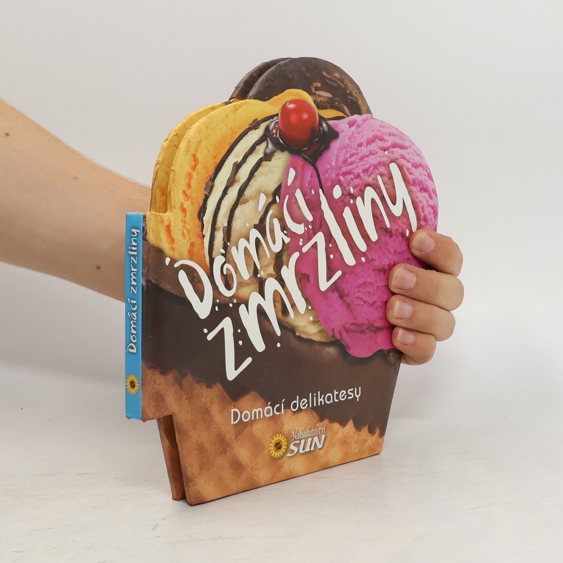 Collectif d'auteurs Rodinné delikatesy: Domácí zmrzliny