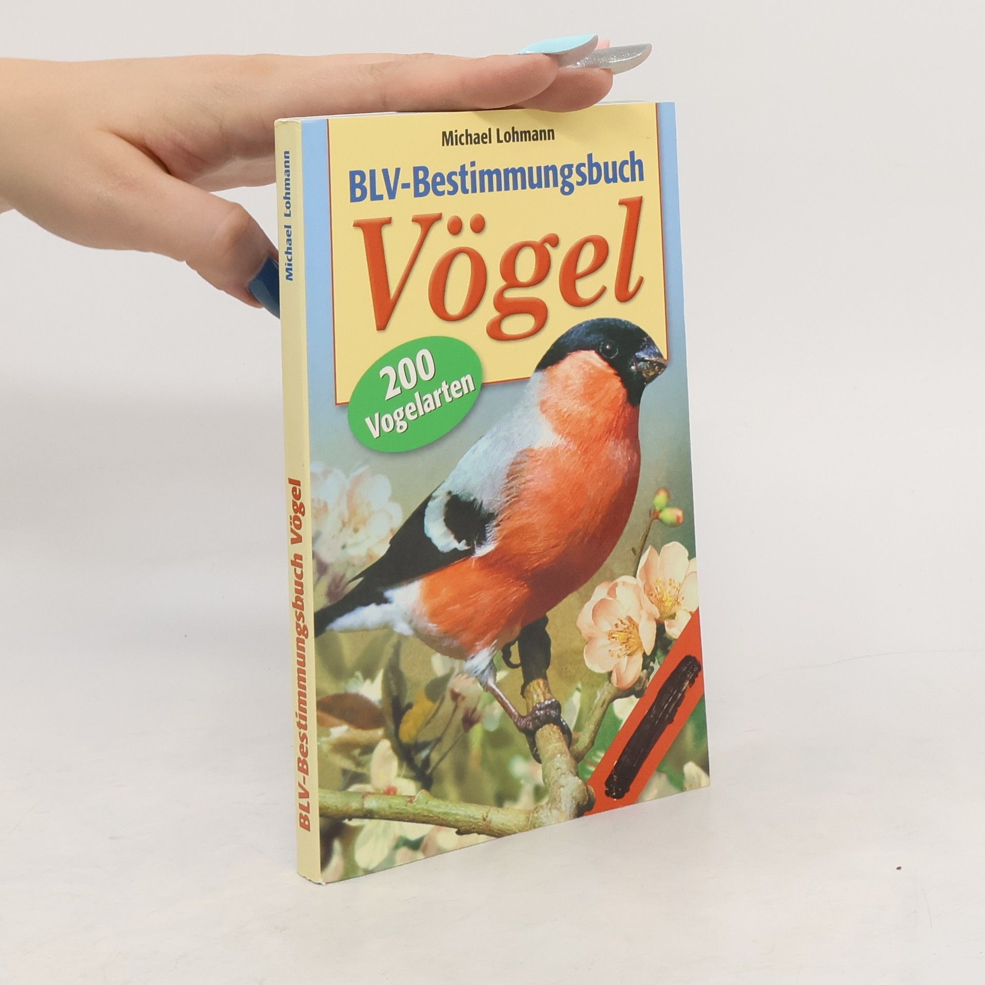 Michael Lohmann BLV-Bestimmungsbuch Vögel