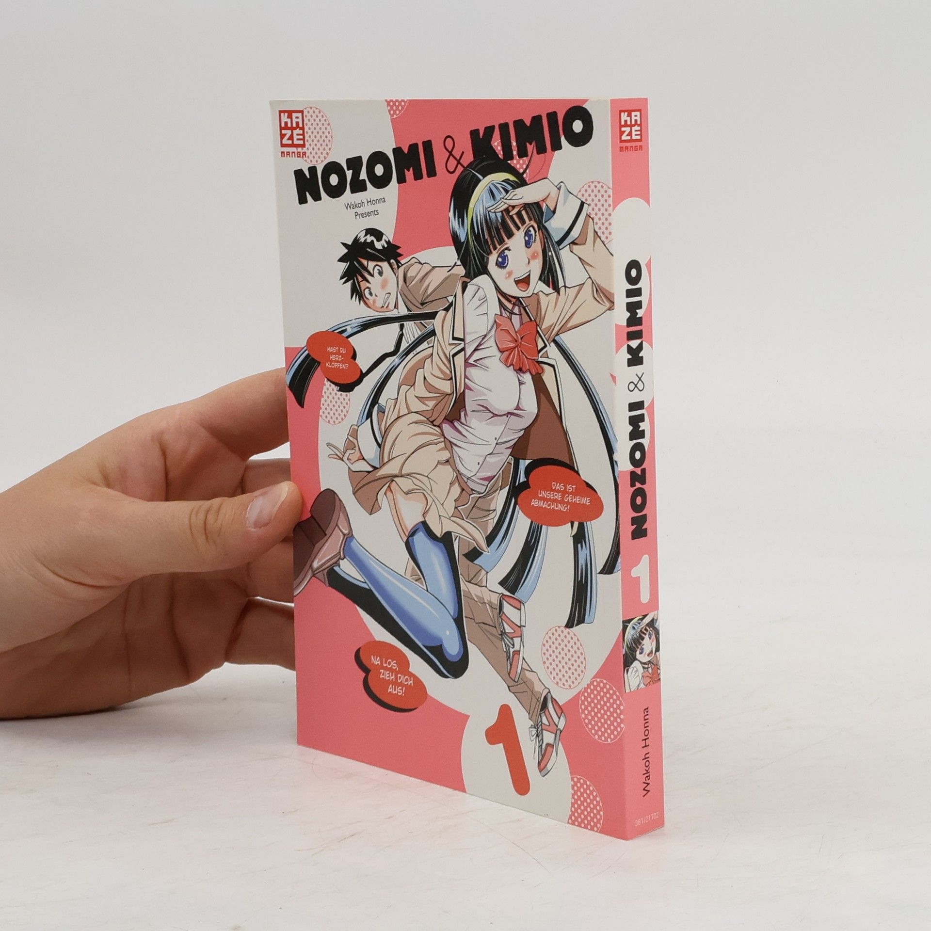 kolektiv Nozomi & Kimio