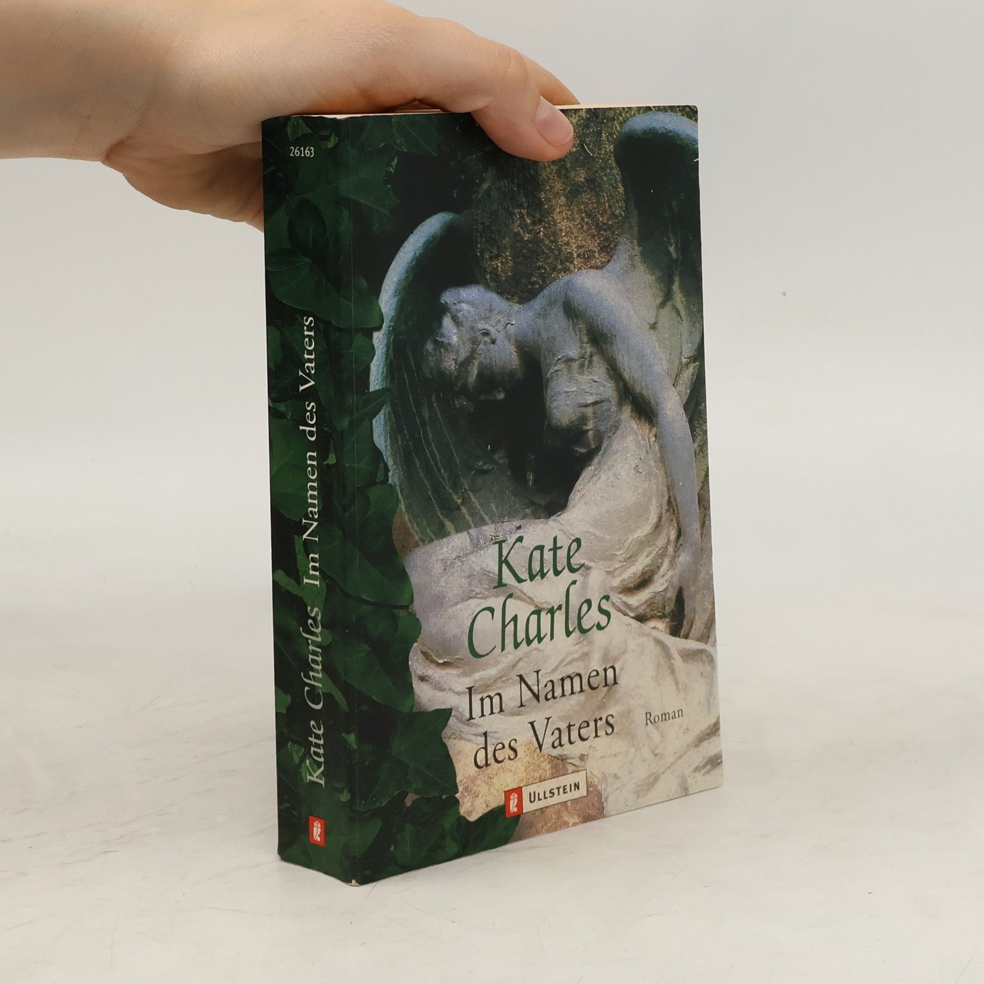 Kate Charles Im Namen des Vaters