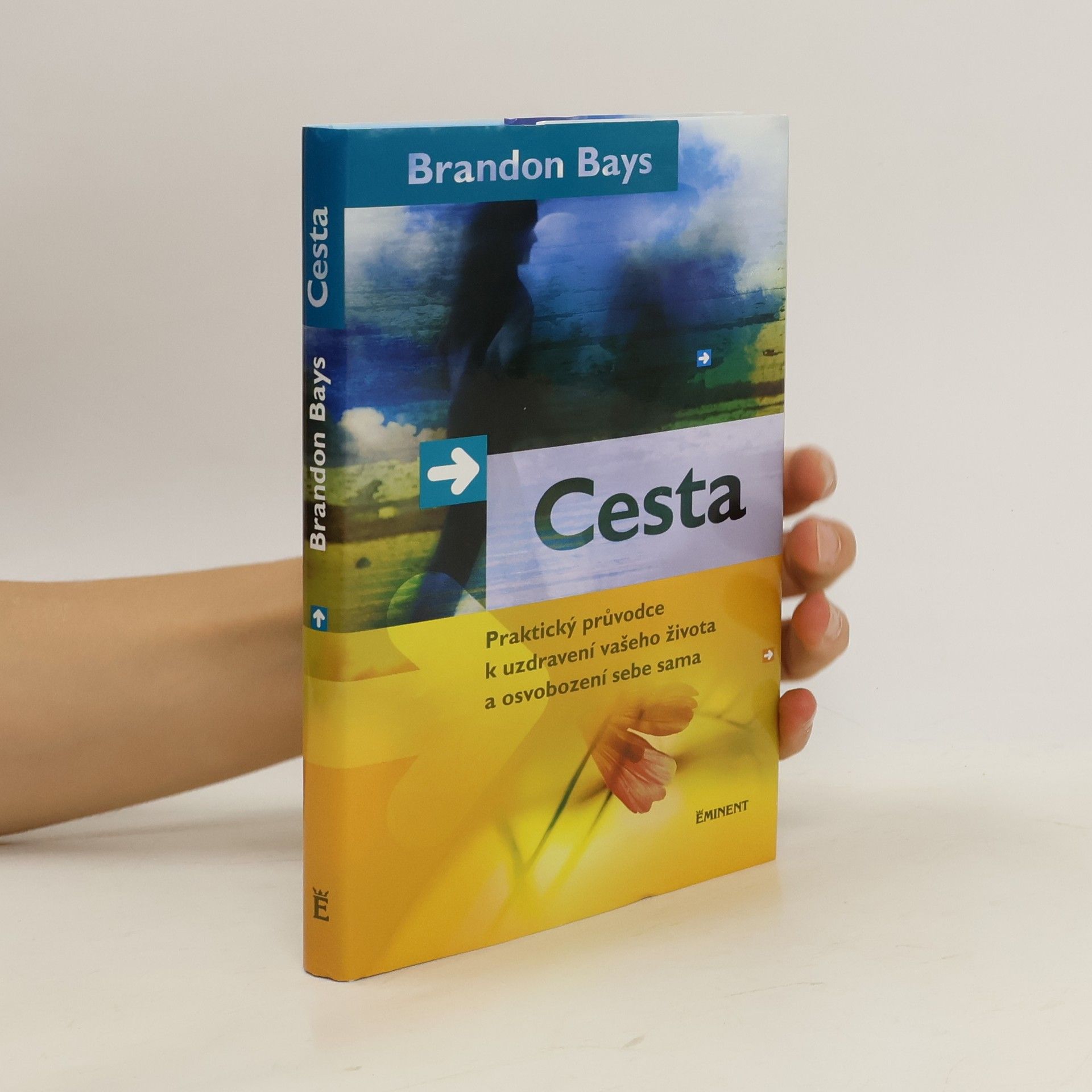Brandon Bays Cesta