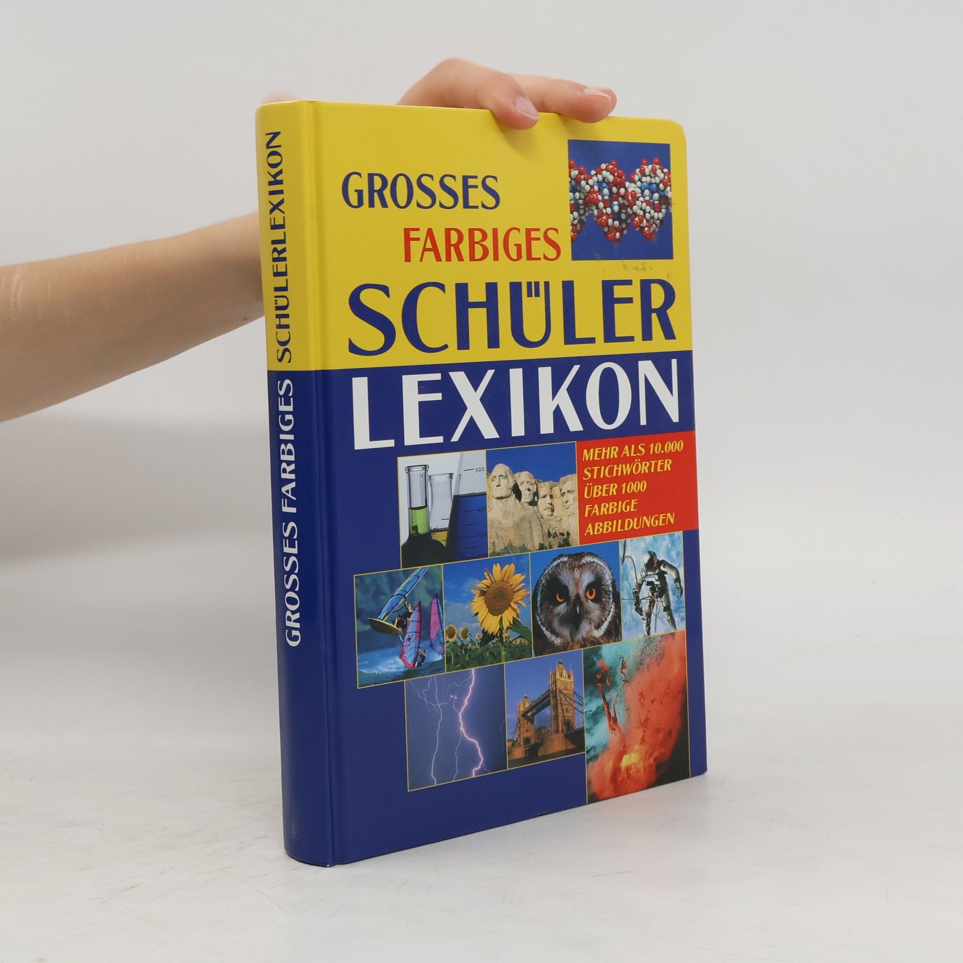 Autorenkollektiv Grosses farbiges Schülerlexikon