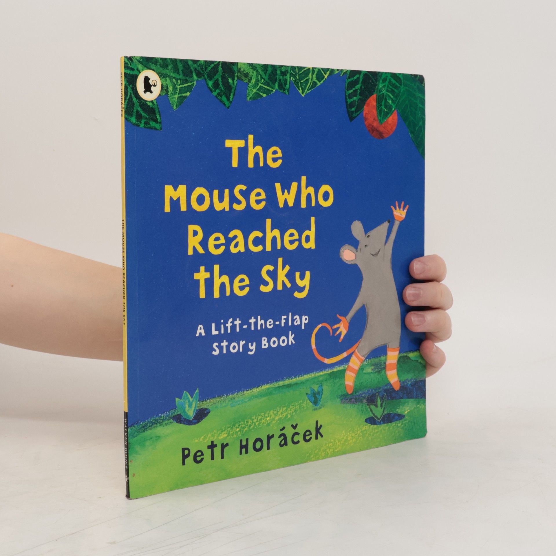 Horacek Petr The Mouse Who Reached the Sky