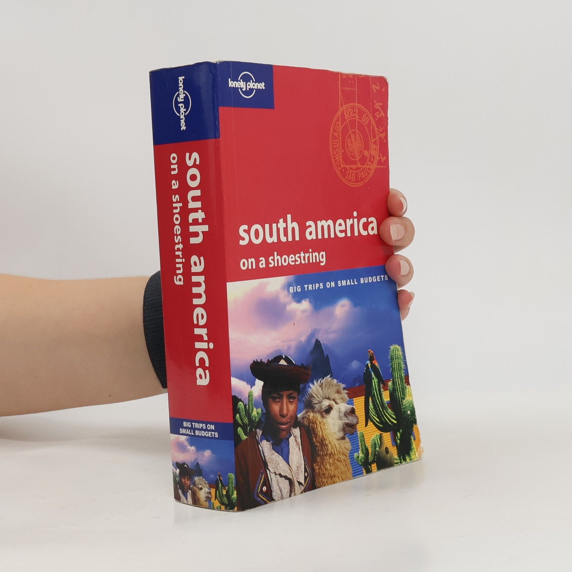 Danny Palmerlee South America on a Shoestring