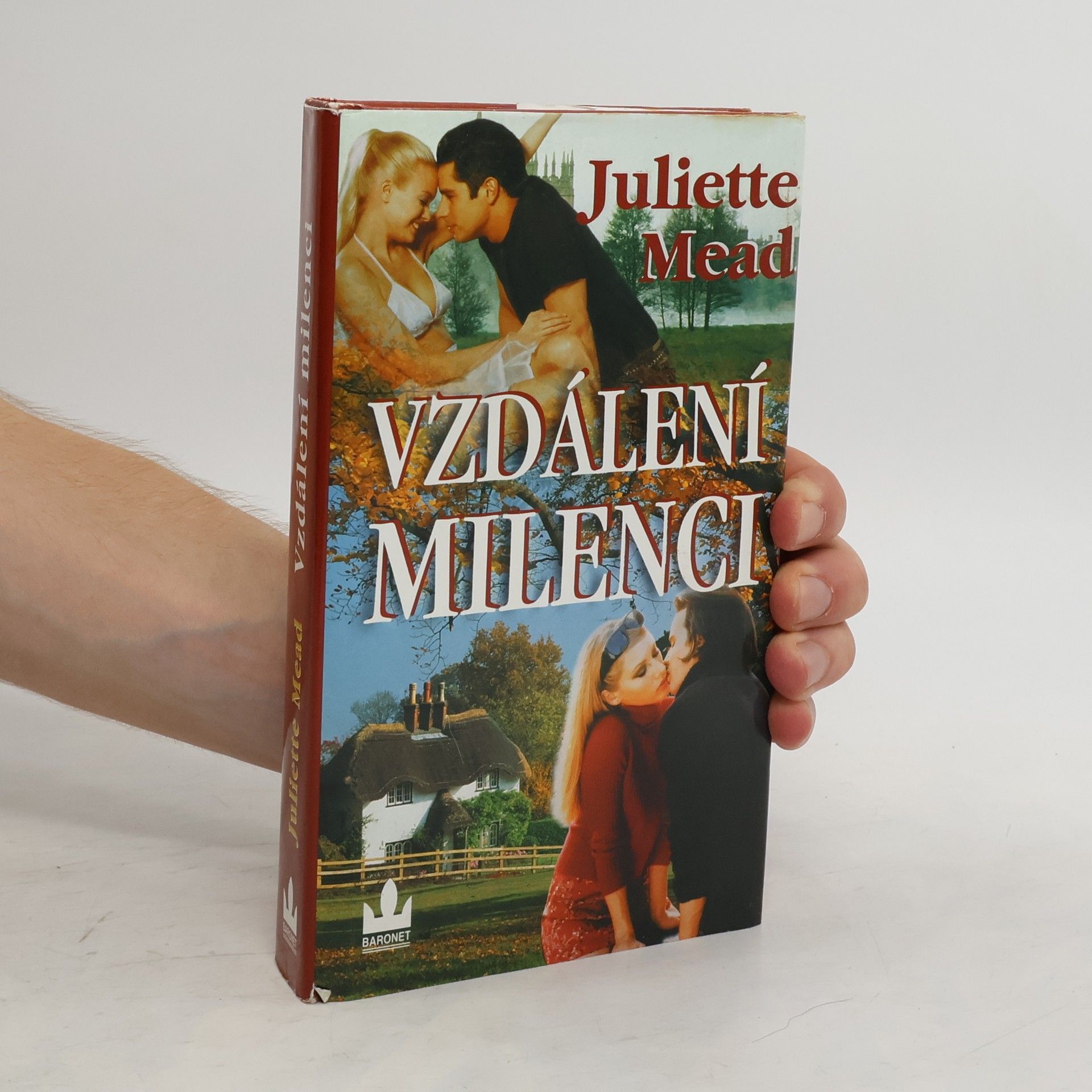 Juliette Mead Vzdálení milenci