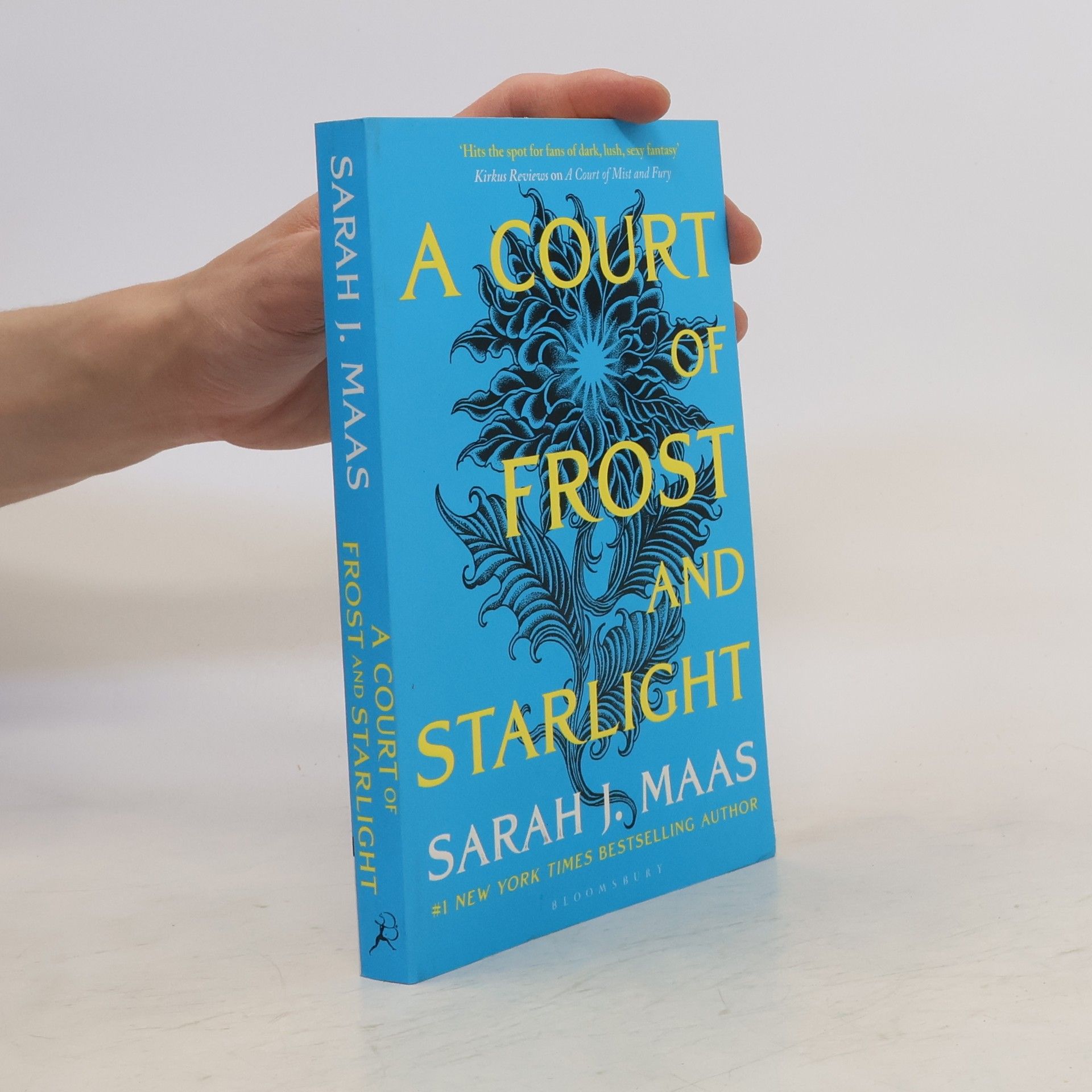 Sarah J. Maasová A Court of Frost and Starlight