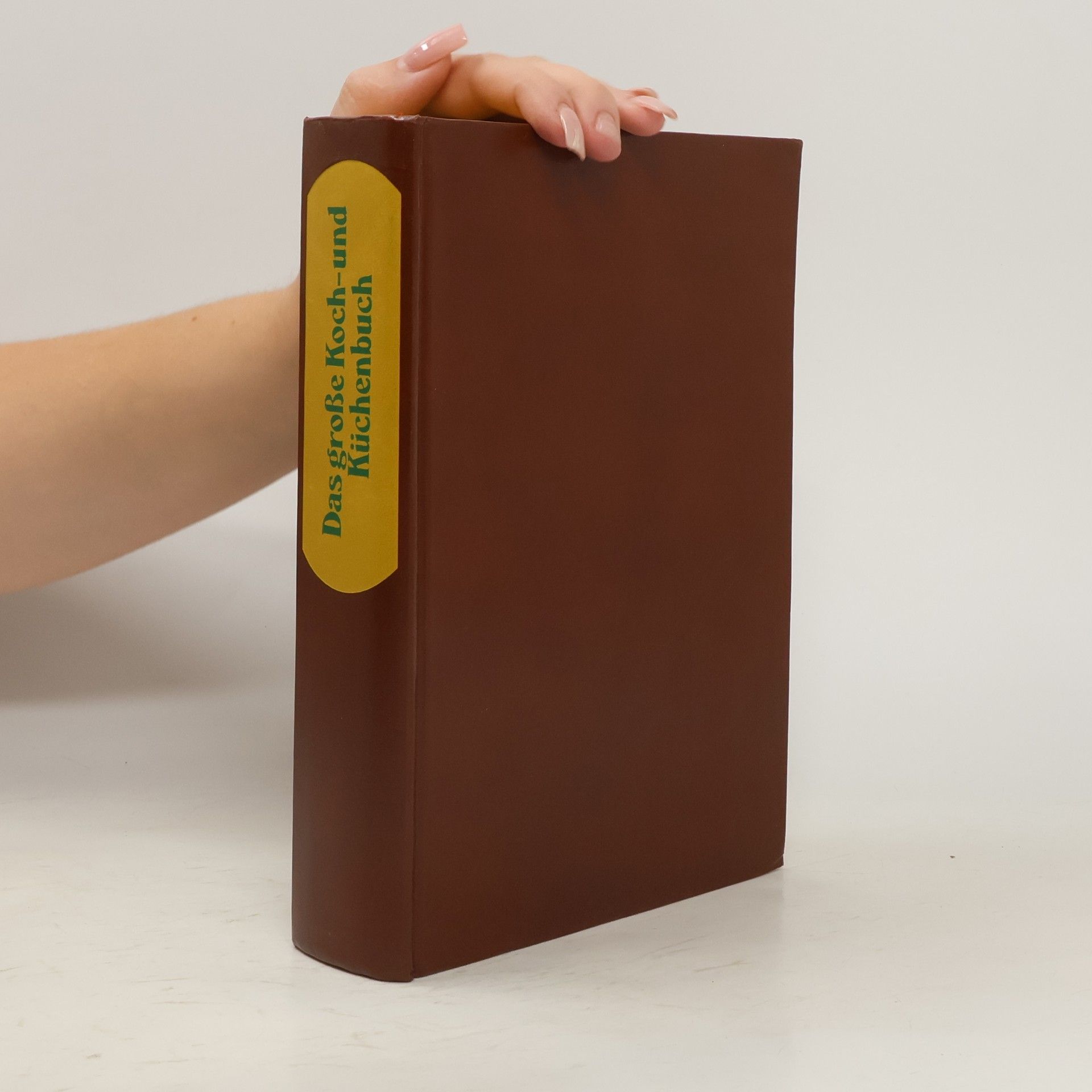 H. Scharfenberg Das große Koch- und Küchenbuch